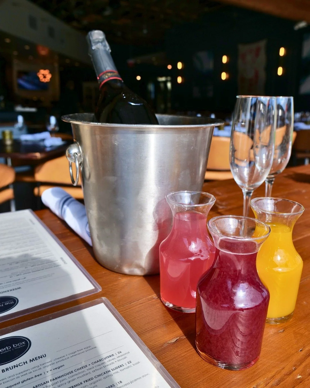 Mimosa Flight 2026.jpg