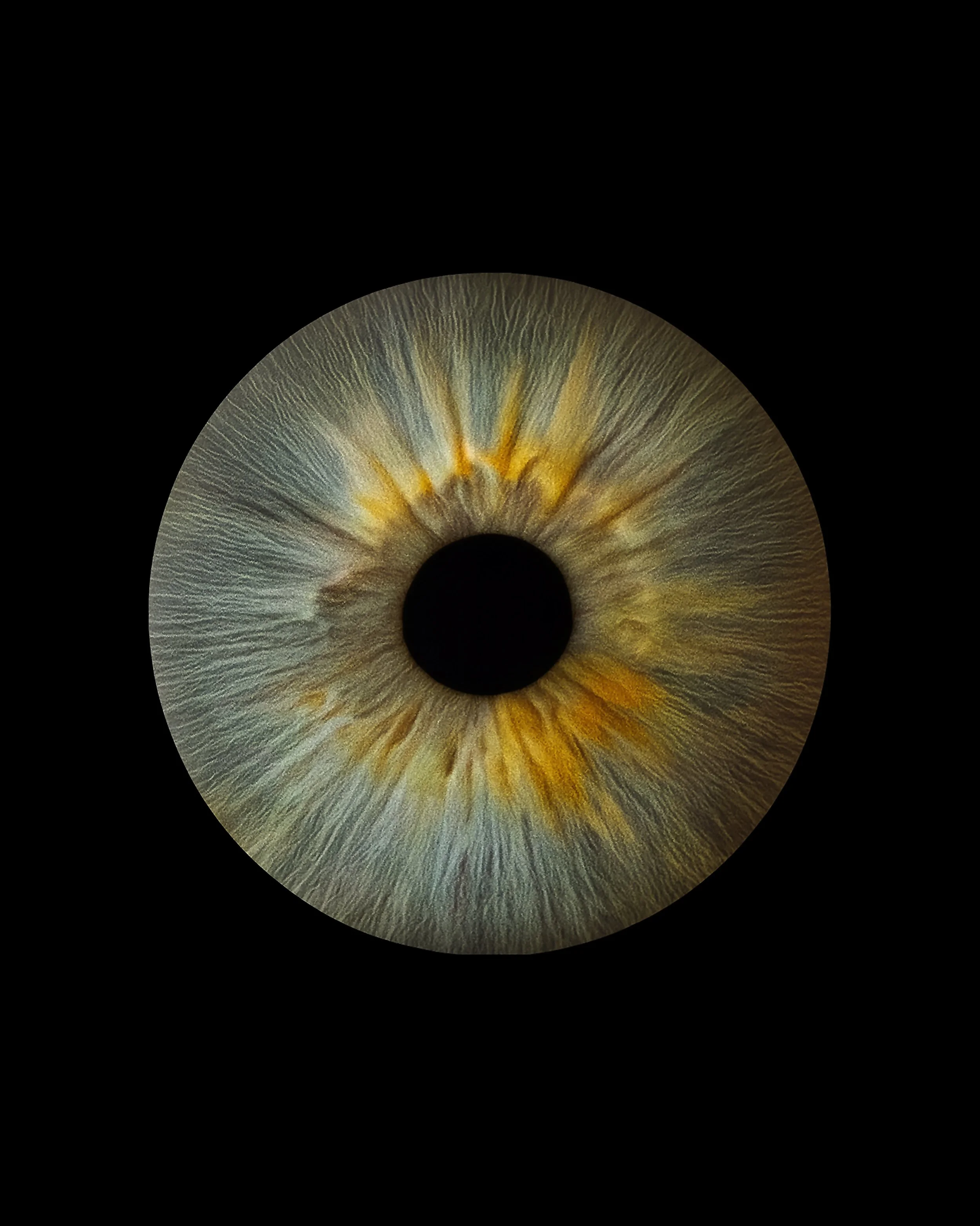 06.dad right eye.jpg