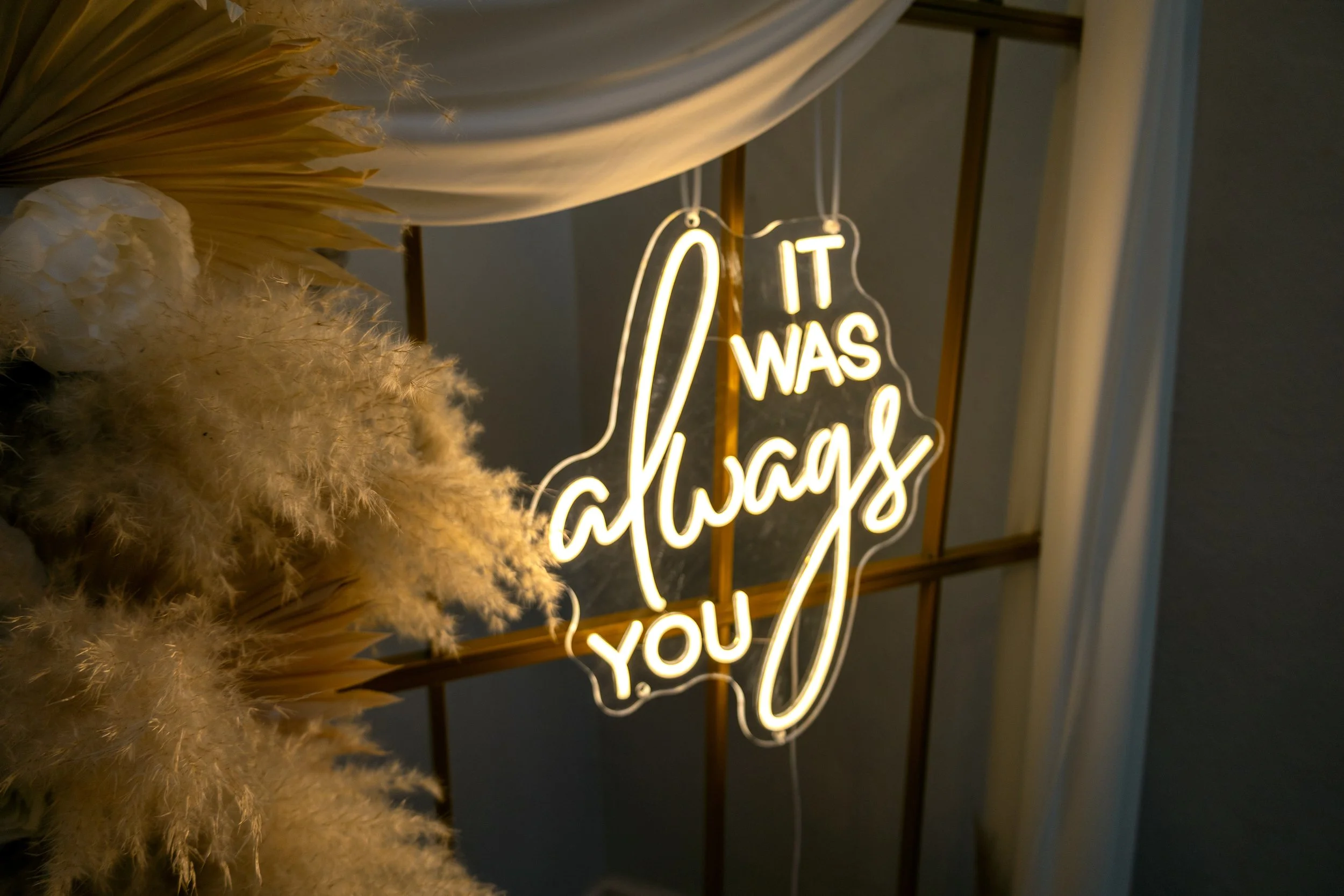 apics-5 (2025-09-08T18_21_52.911).jpg