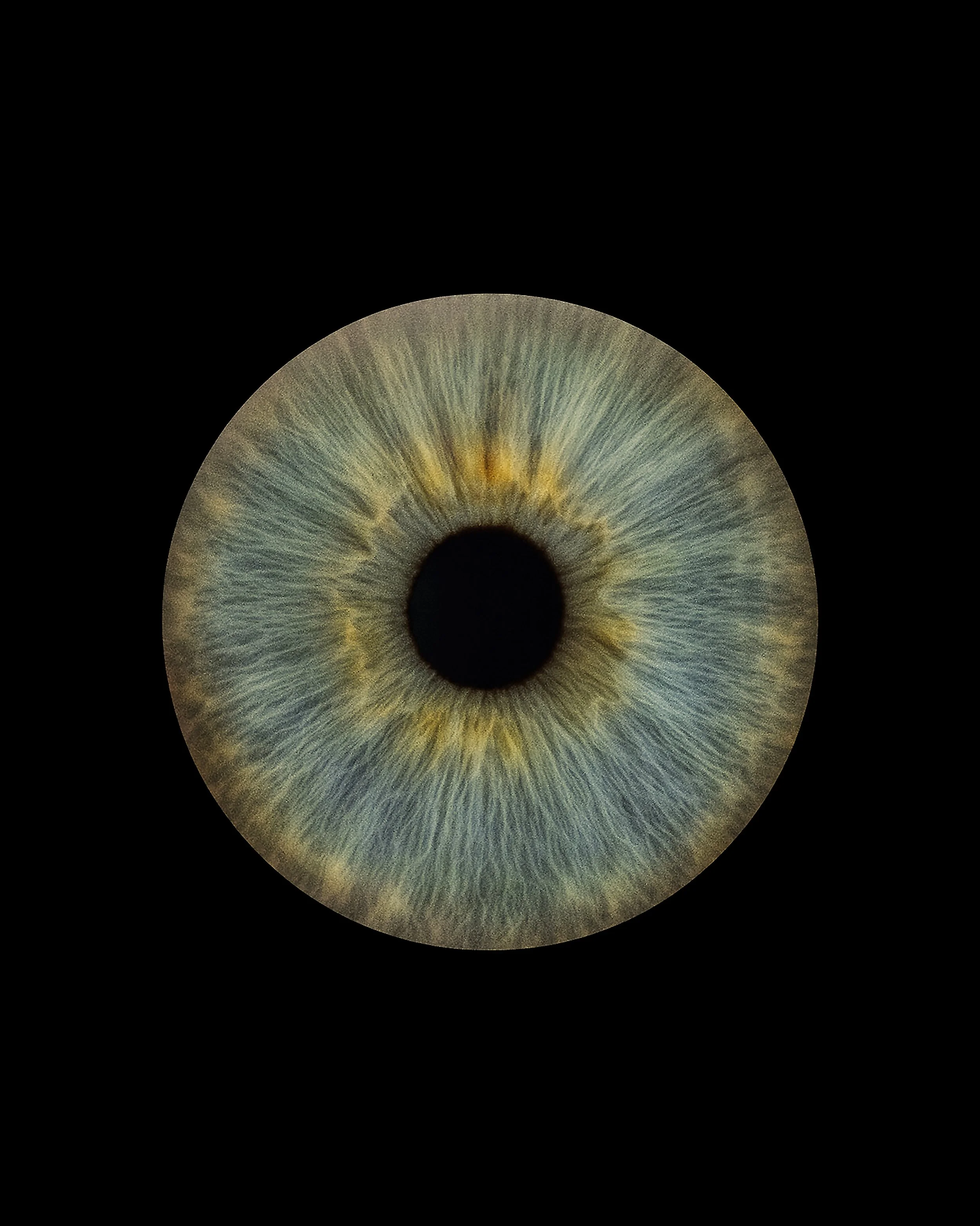 07.dad left eye.jpg