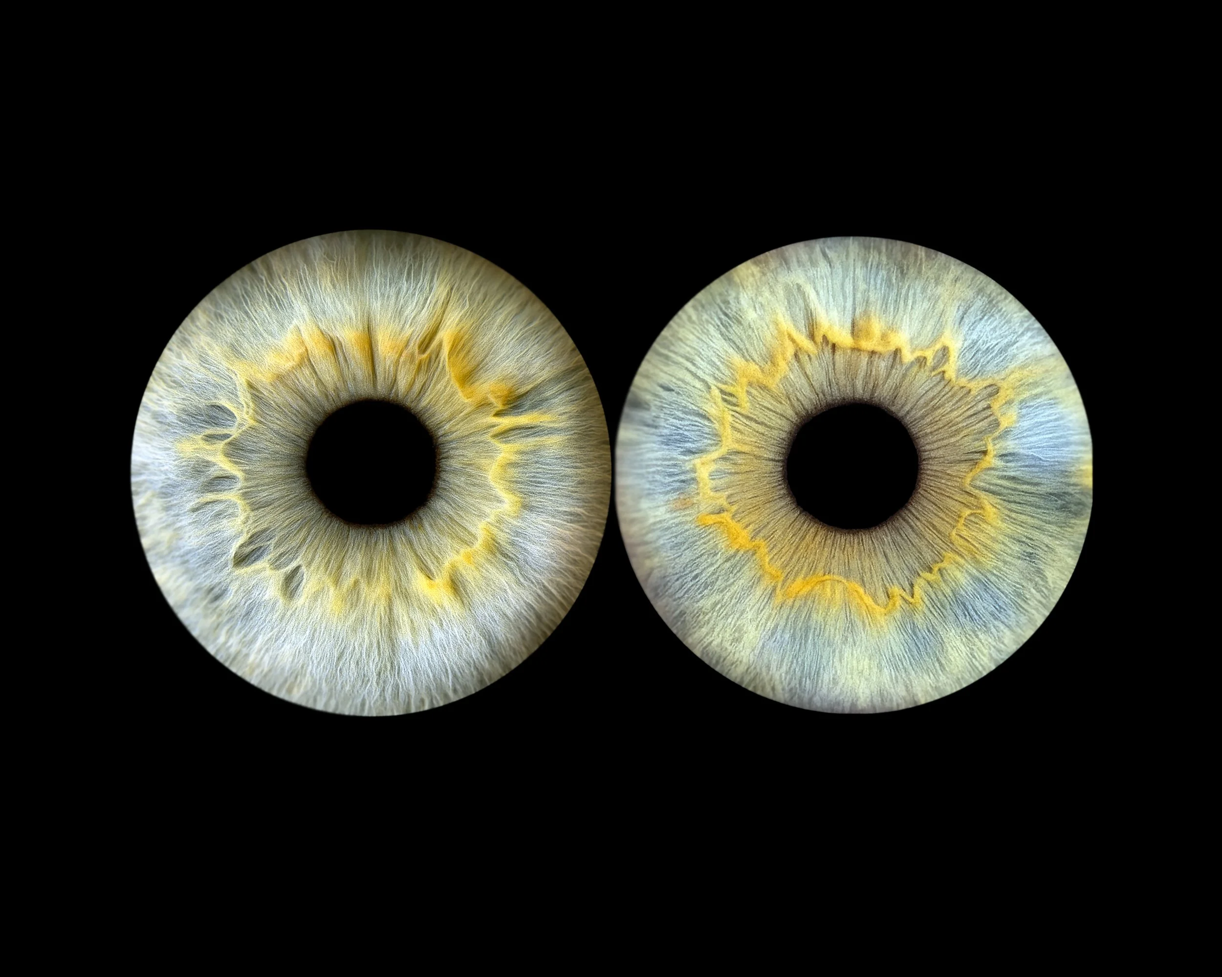 11 older son pair..jpg