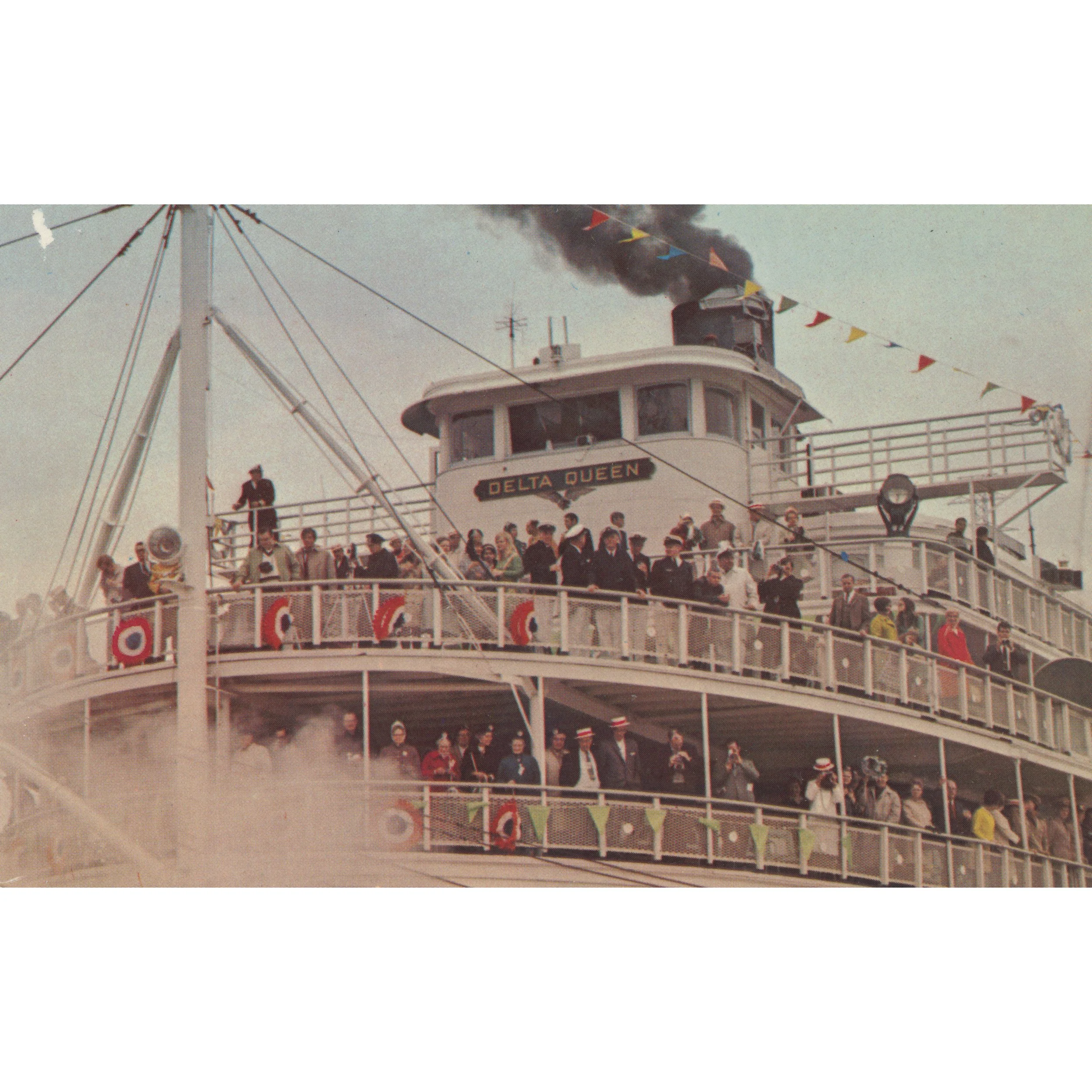 spineless jellyfish back.jpg