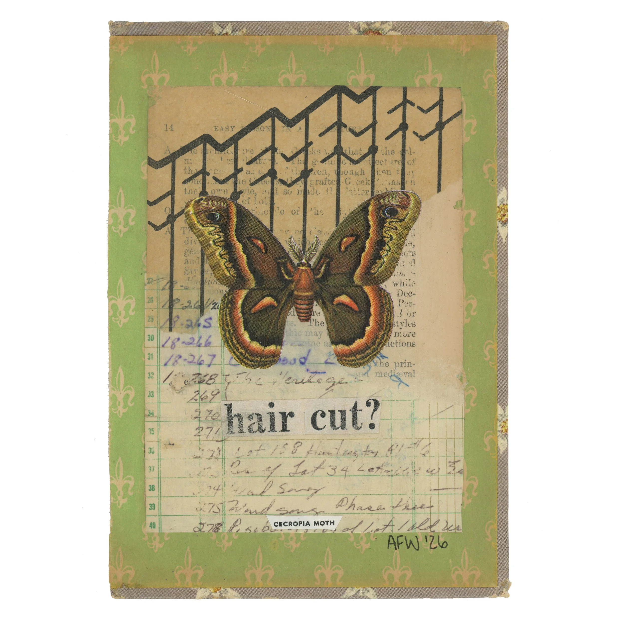 Hair Cut1.jpg