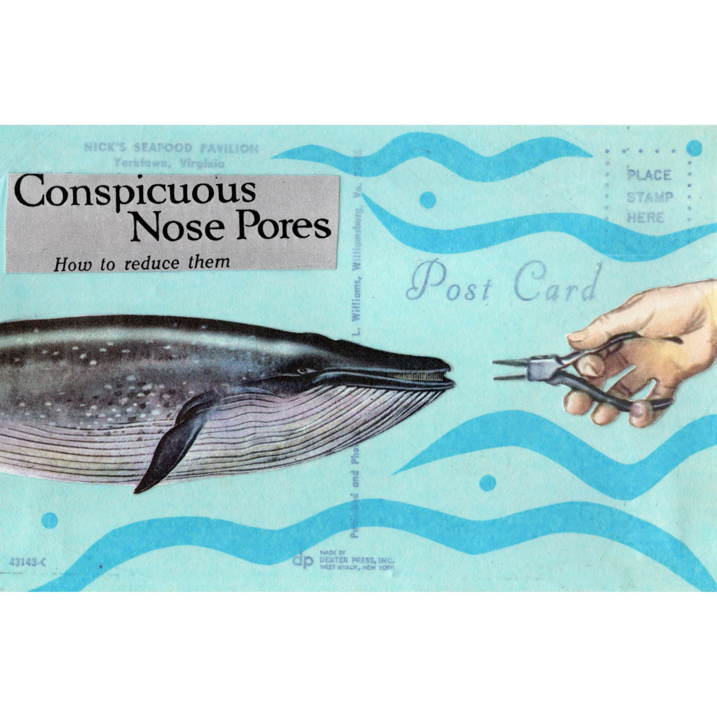 Conspicuous nose pores.jpg