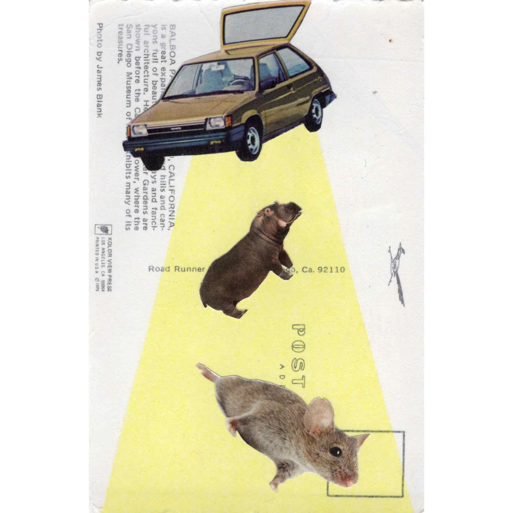 Abduction.jpg