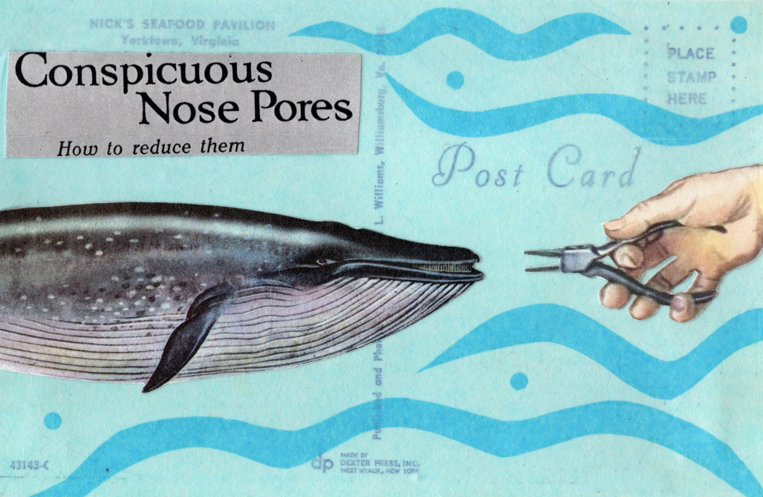 "Conspicuous Nose Pores", 4x6", collage on vintage postcard