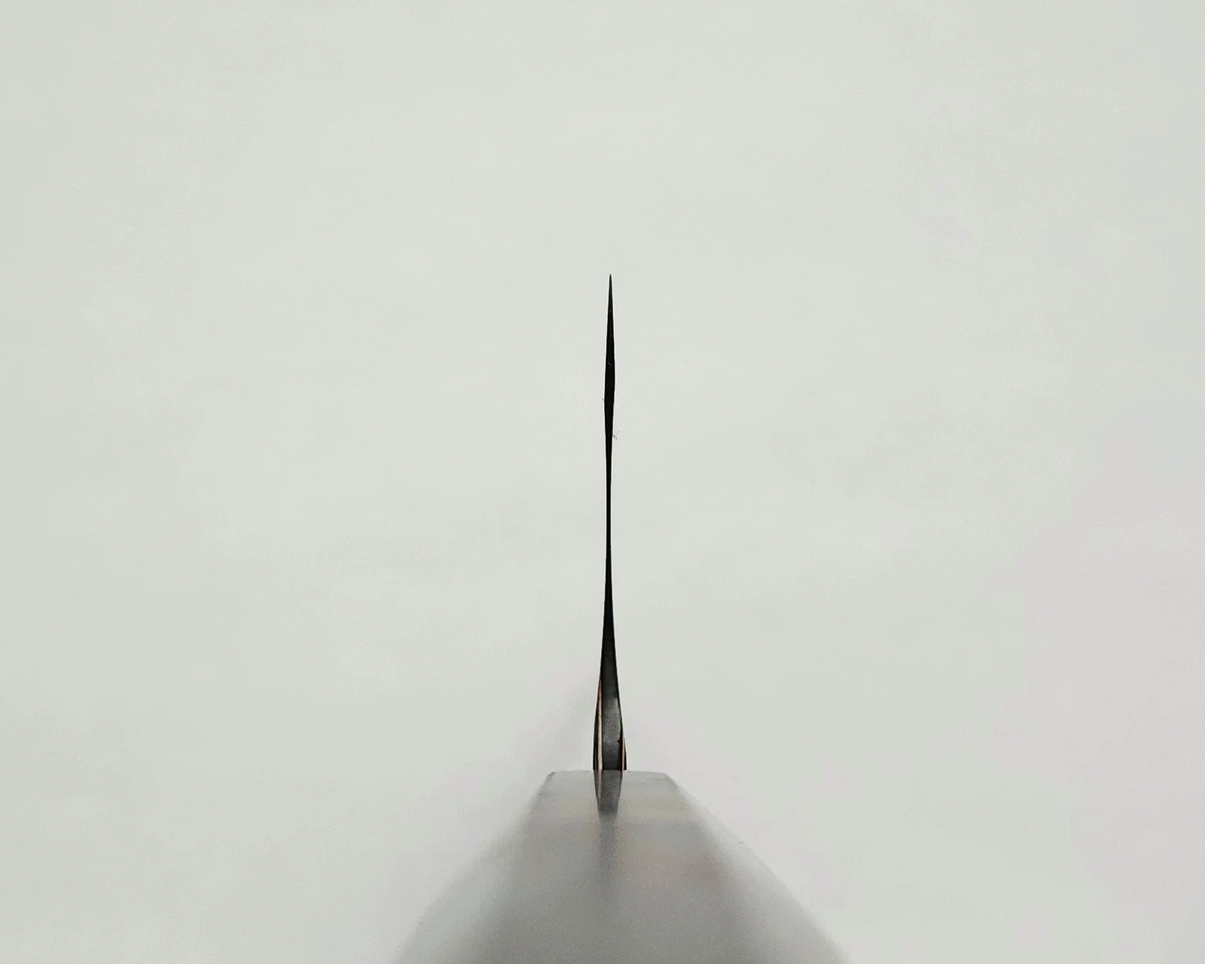 20260822_124611.jpg