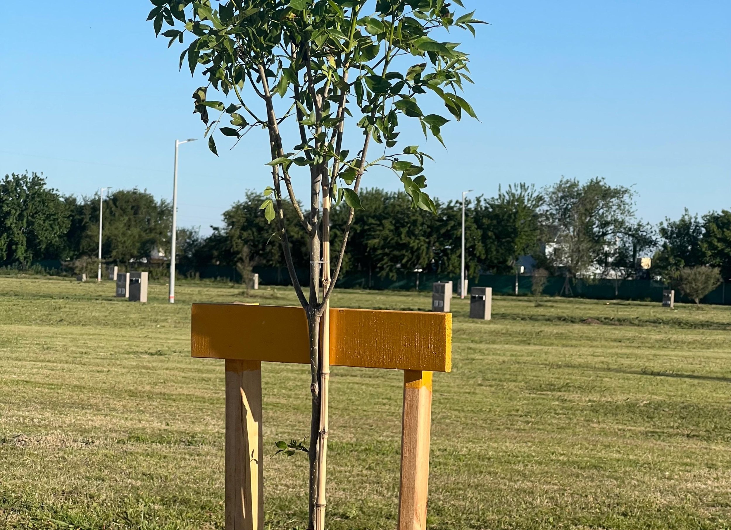 WhatsApp Image 2025-10-14 at 13.39.08.jpeg