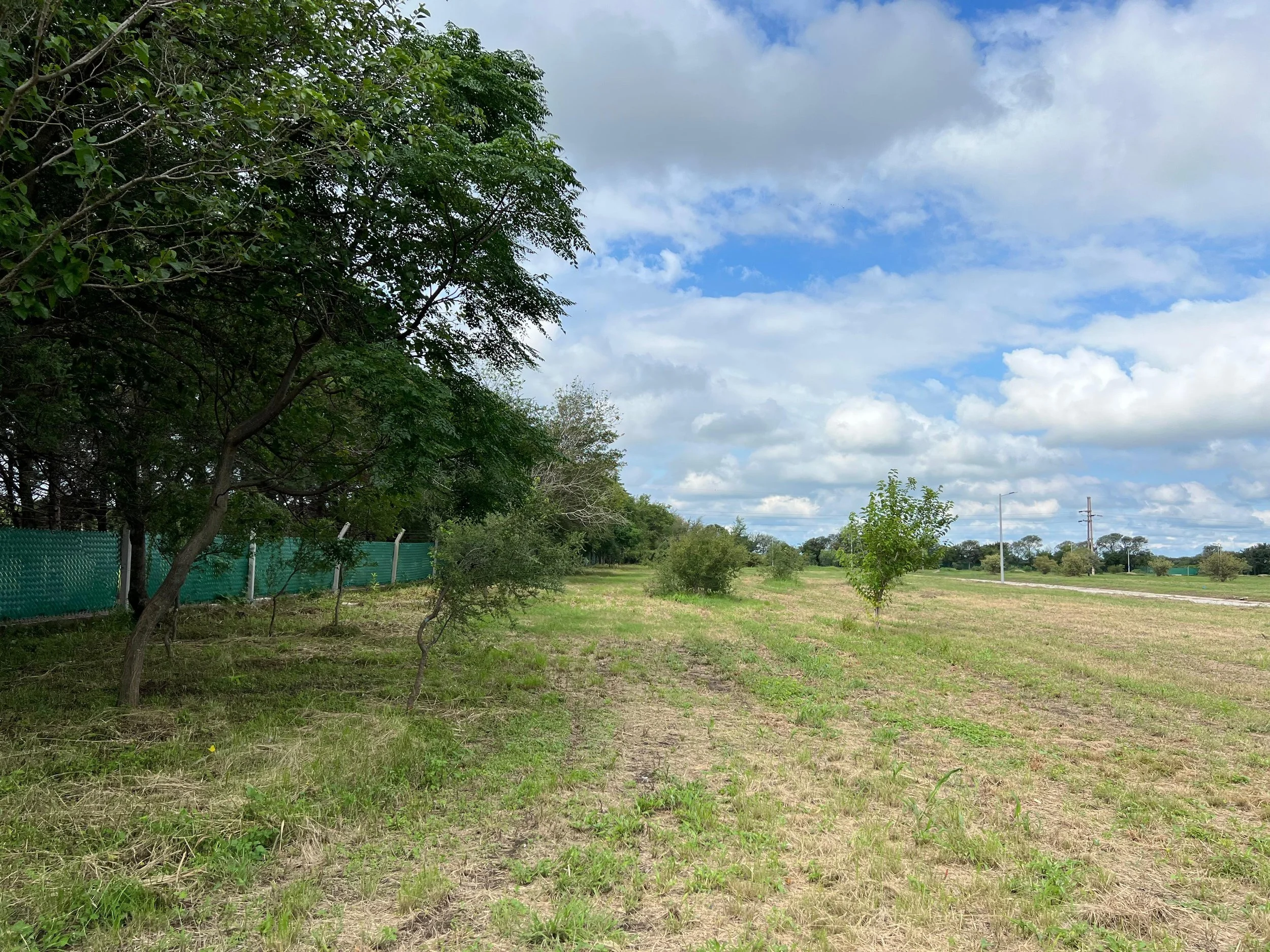 WhatsApp Image 2024-02-29 at 14.10.42.jpeg