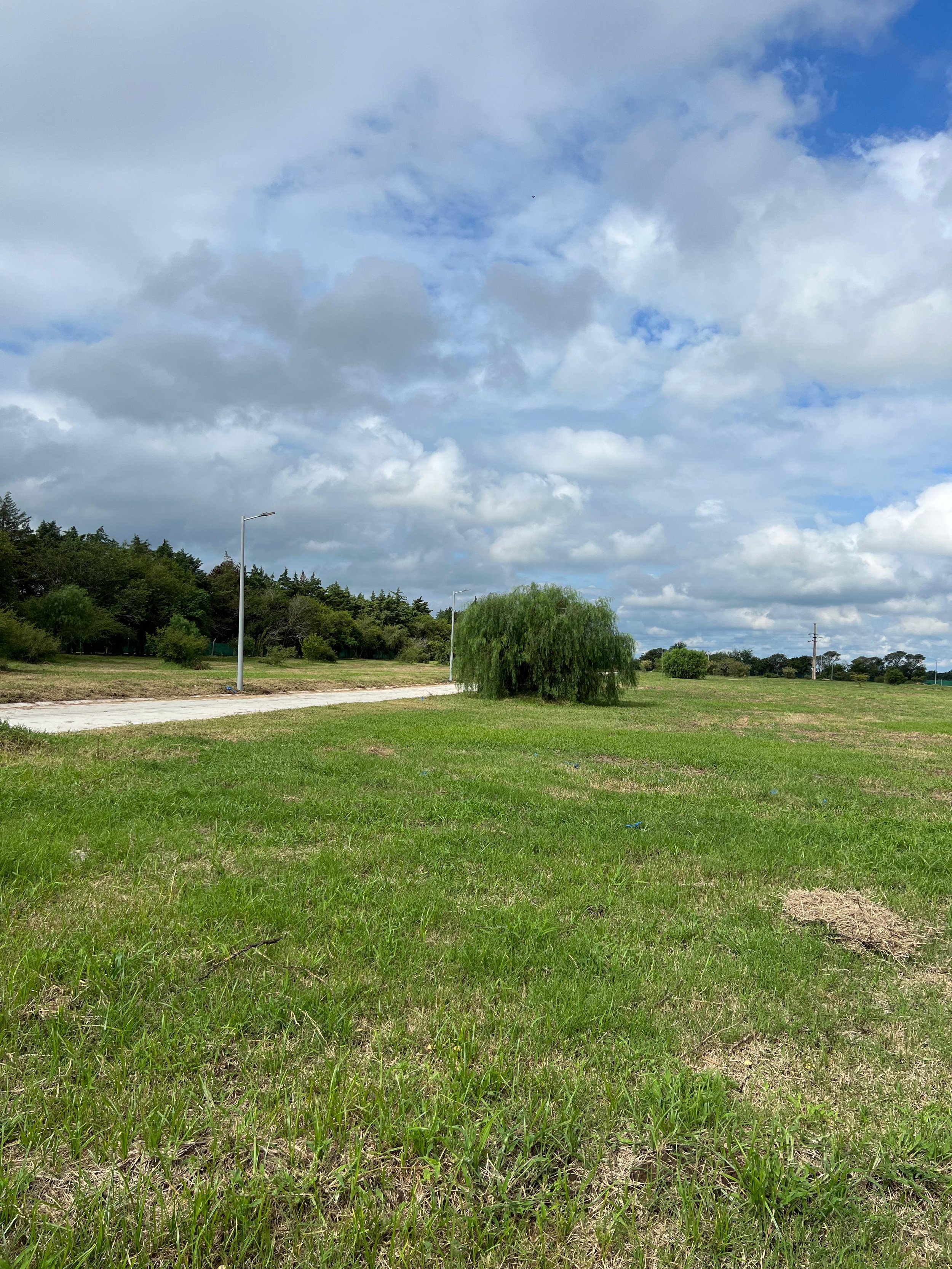 WhatsApp Image 2024-08-09 at 12.01.02.jpeg