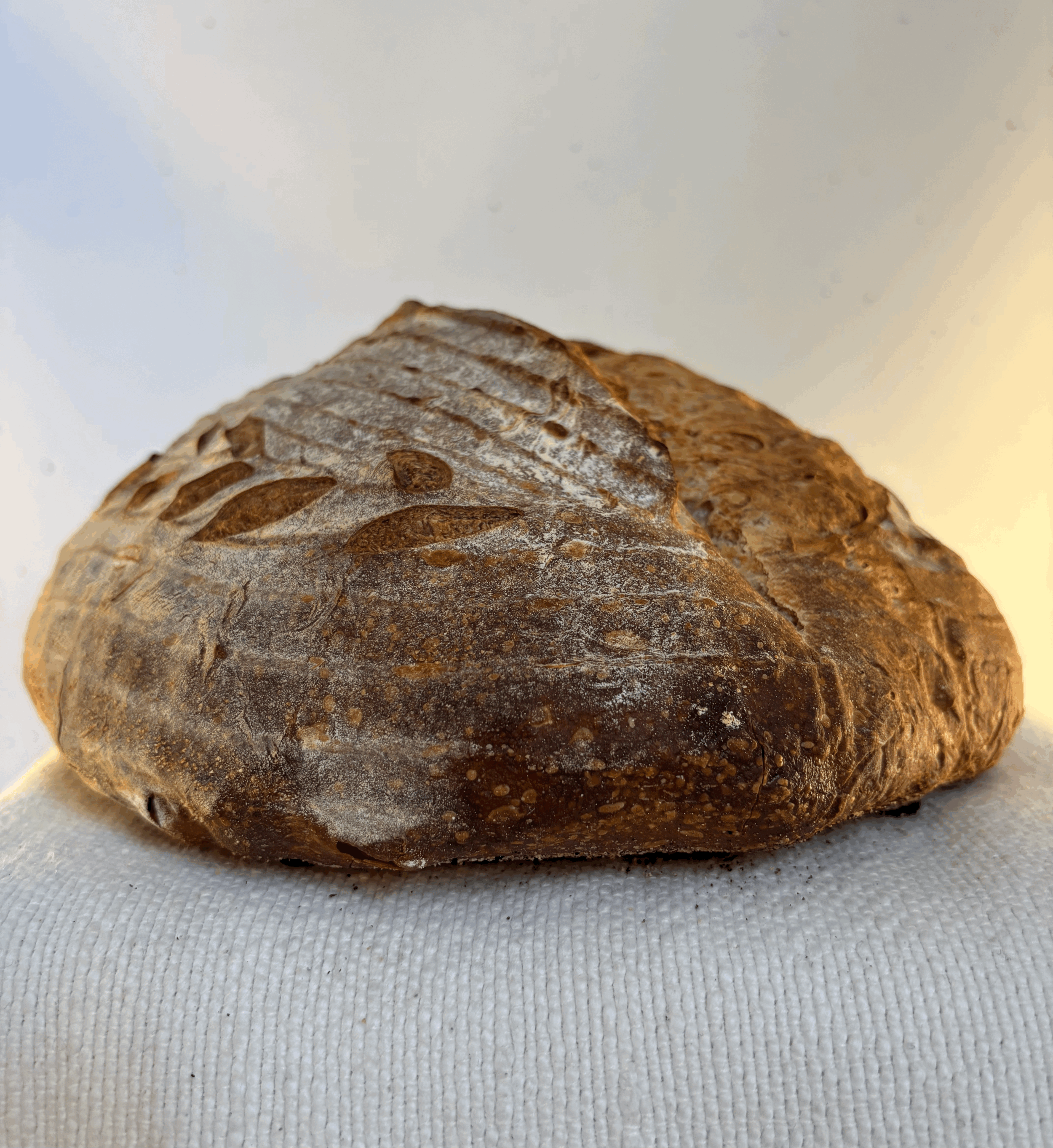 Country Sourdough Loaf