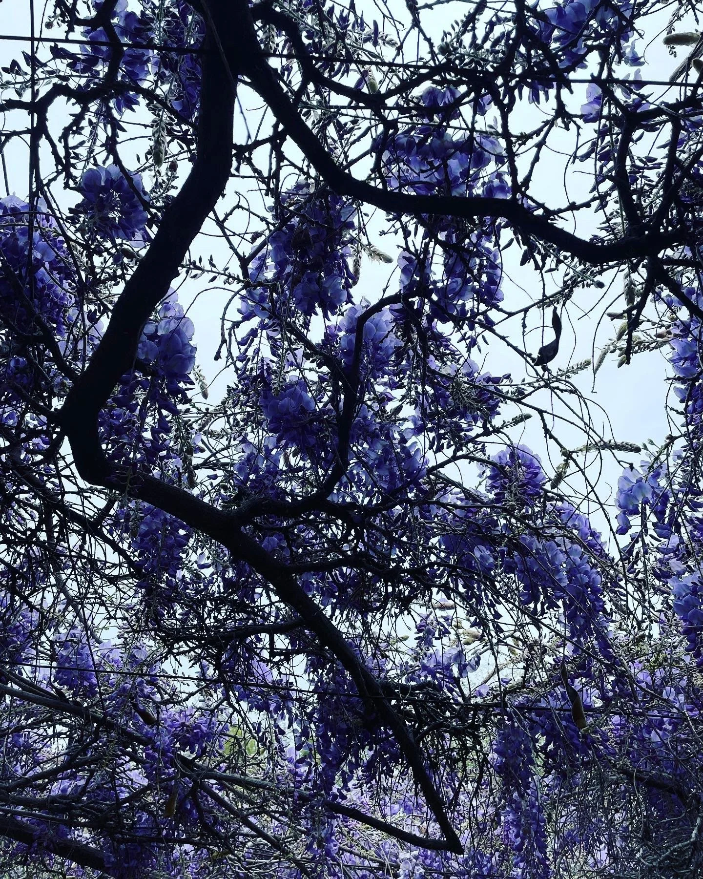 ‘The Price of Business’ Interview 