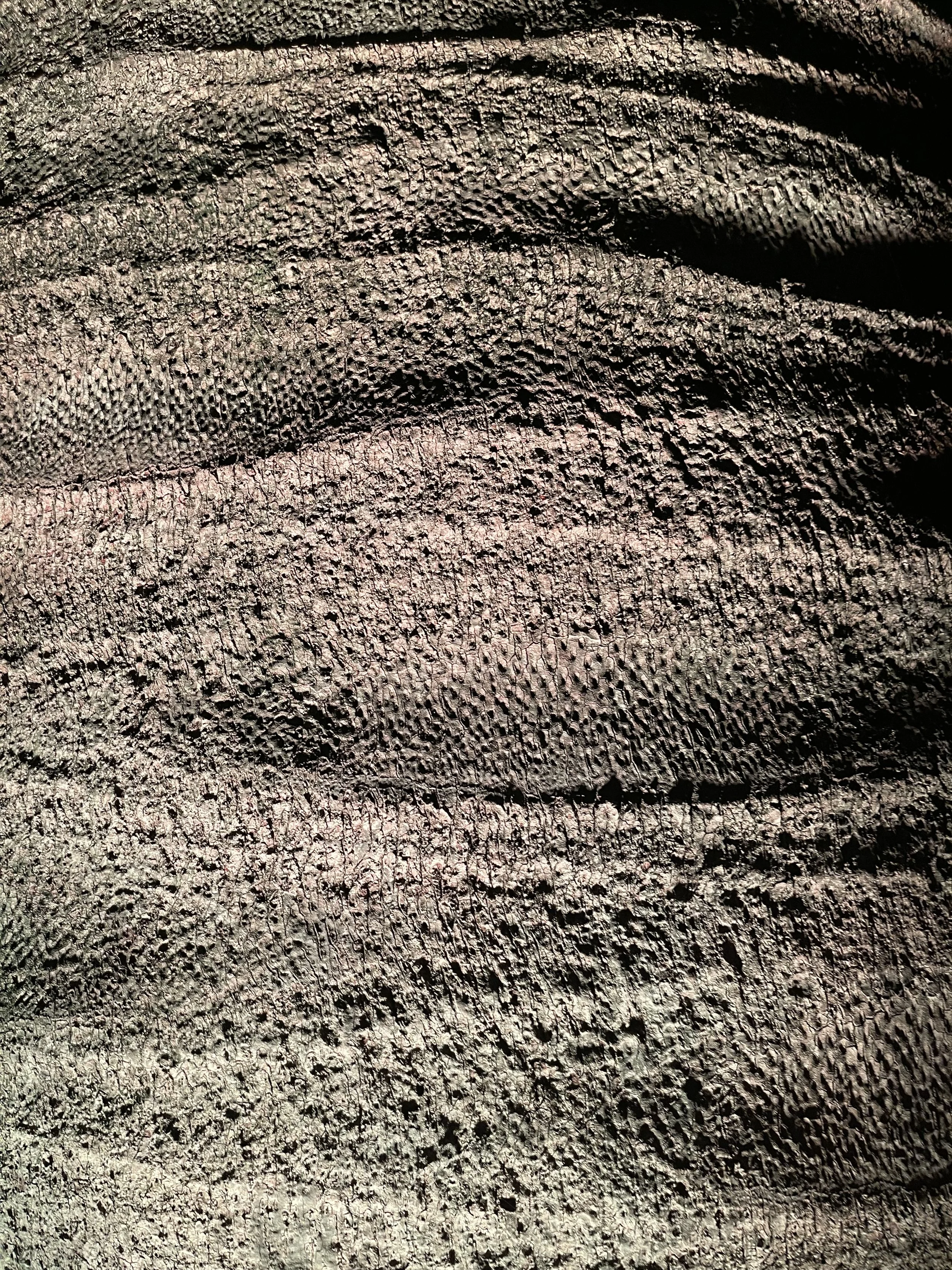 Lower Drug Costs for Seniors