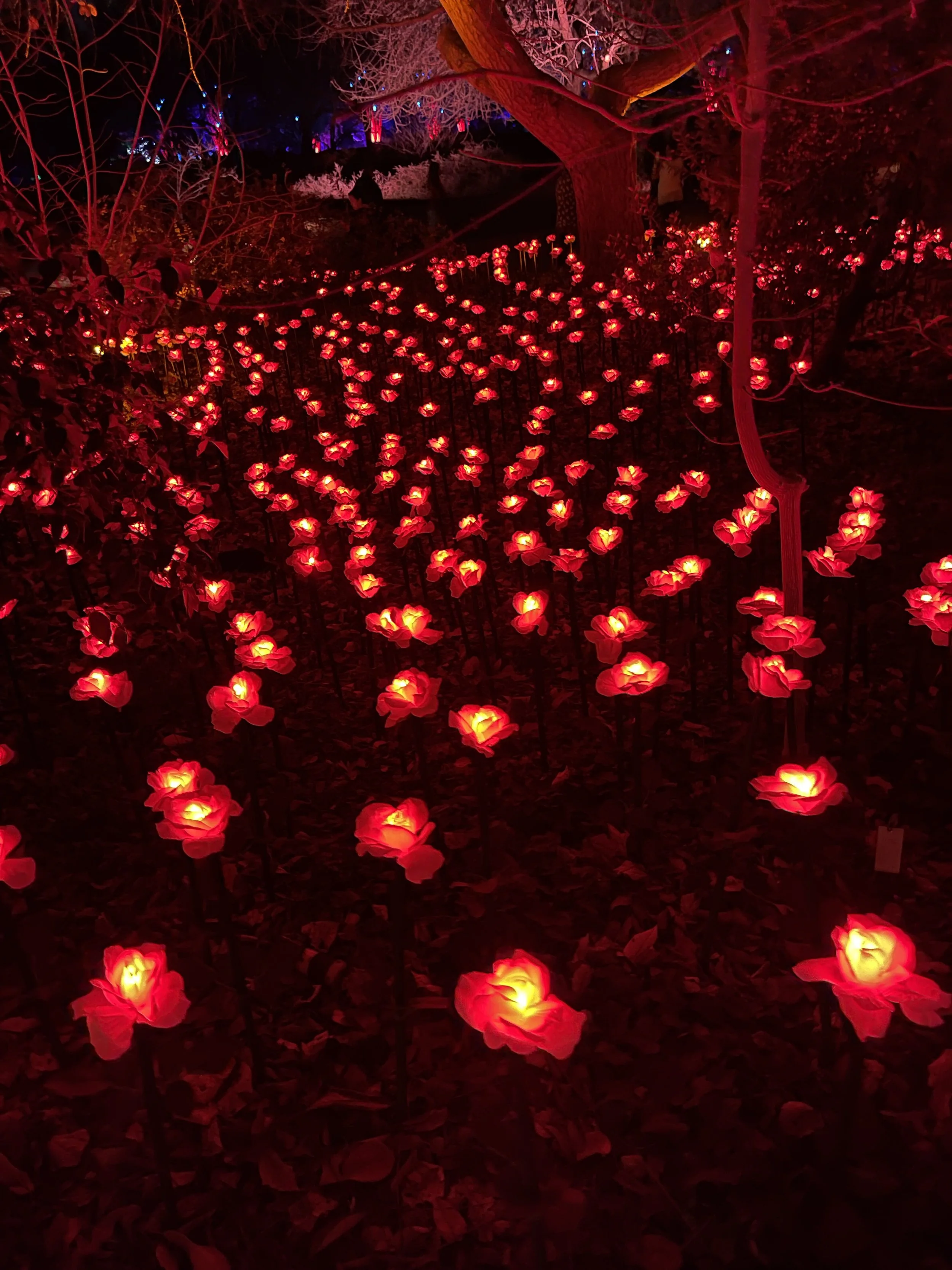 Apple AI and Nostalgia