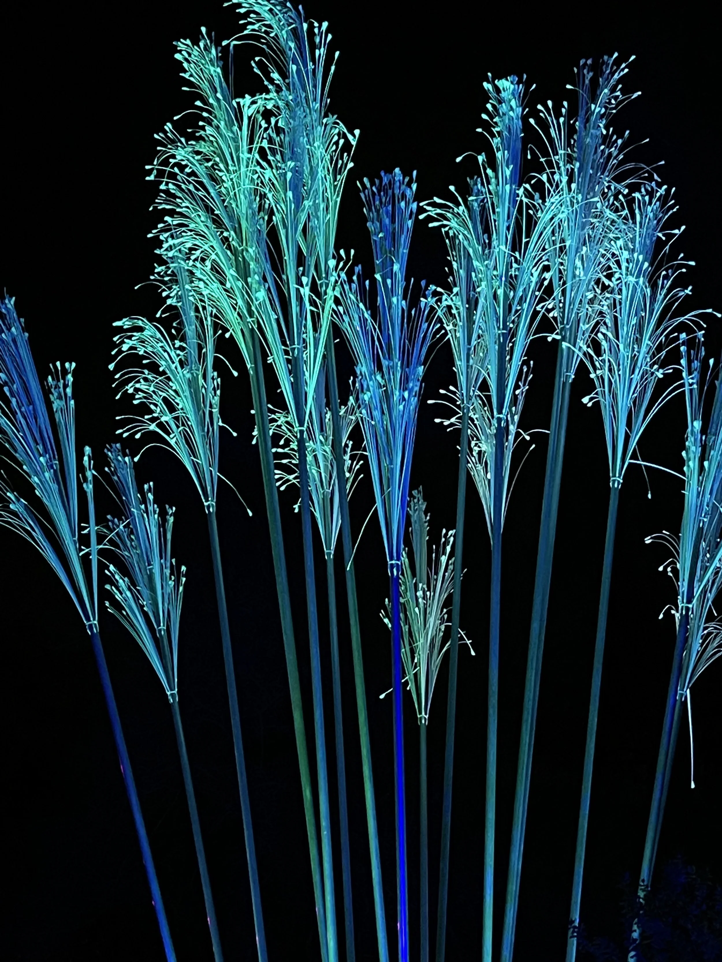 Fiduciary Law Changes