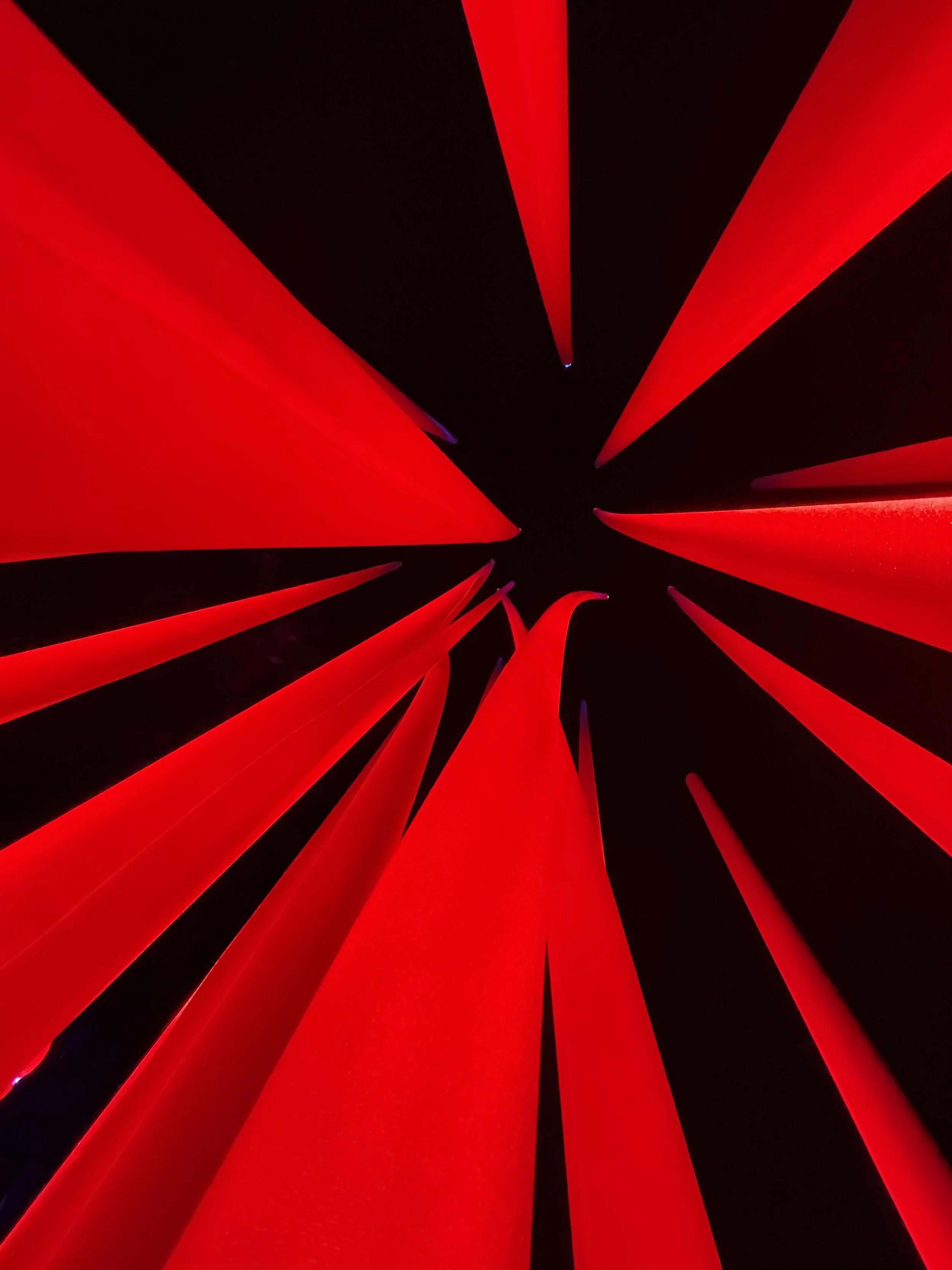 Crisis In Long-Term Care