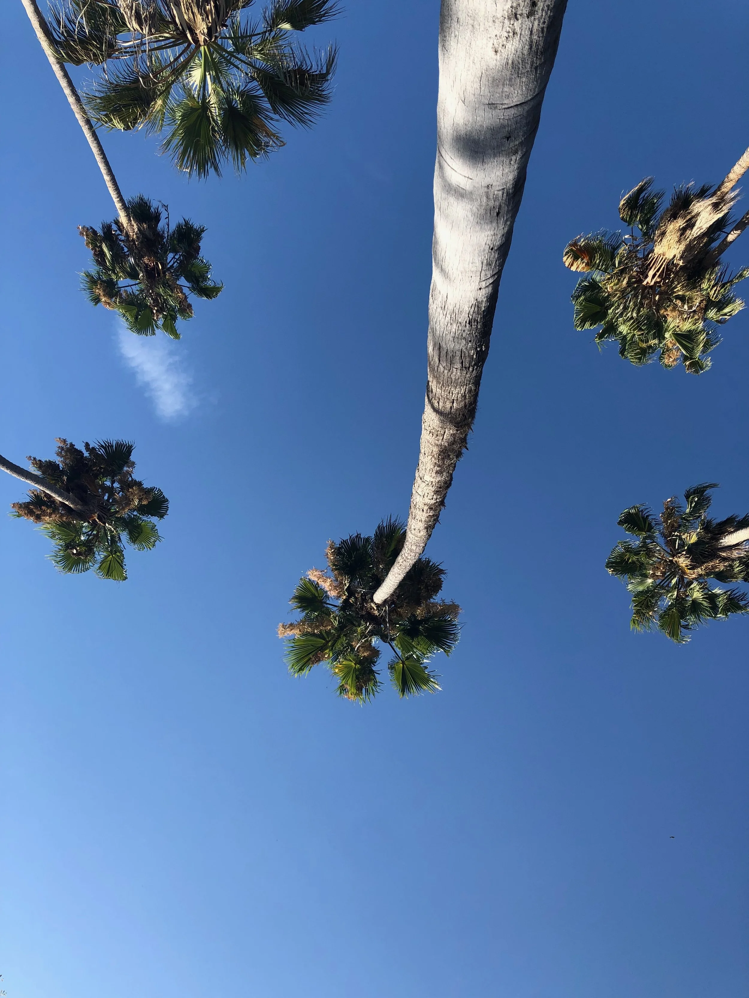 Invest: Before/After the Election?