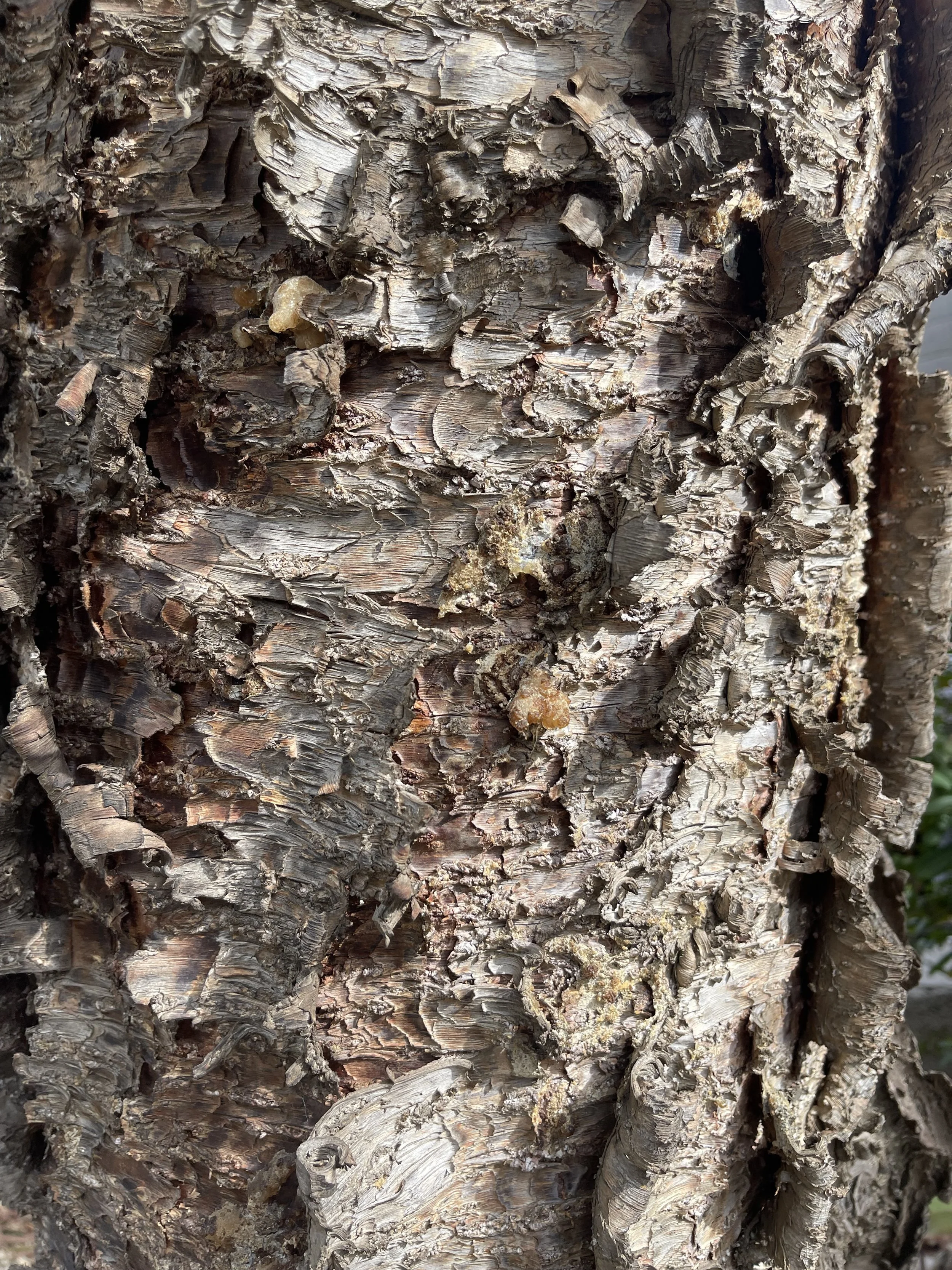 PSA: Taxing Unrealized Gains