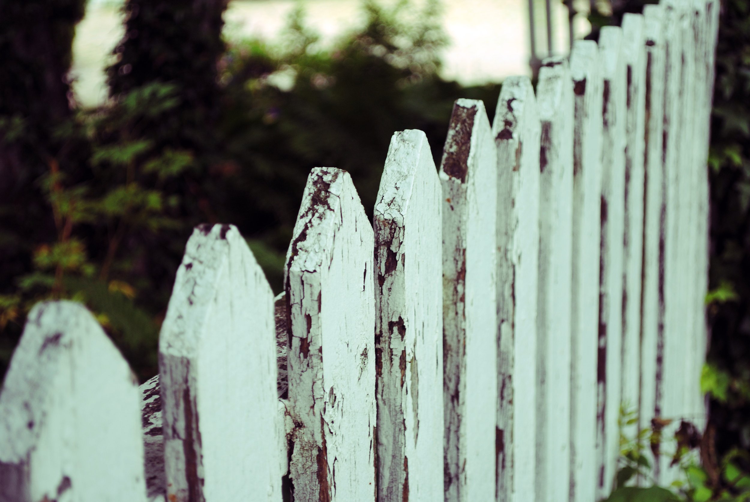 fence_4743492475_o.jpg