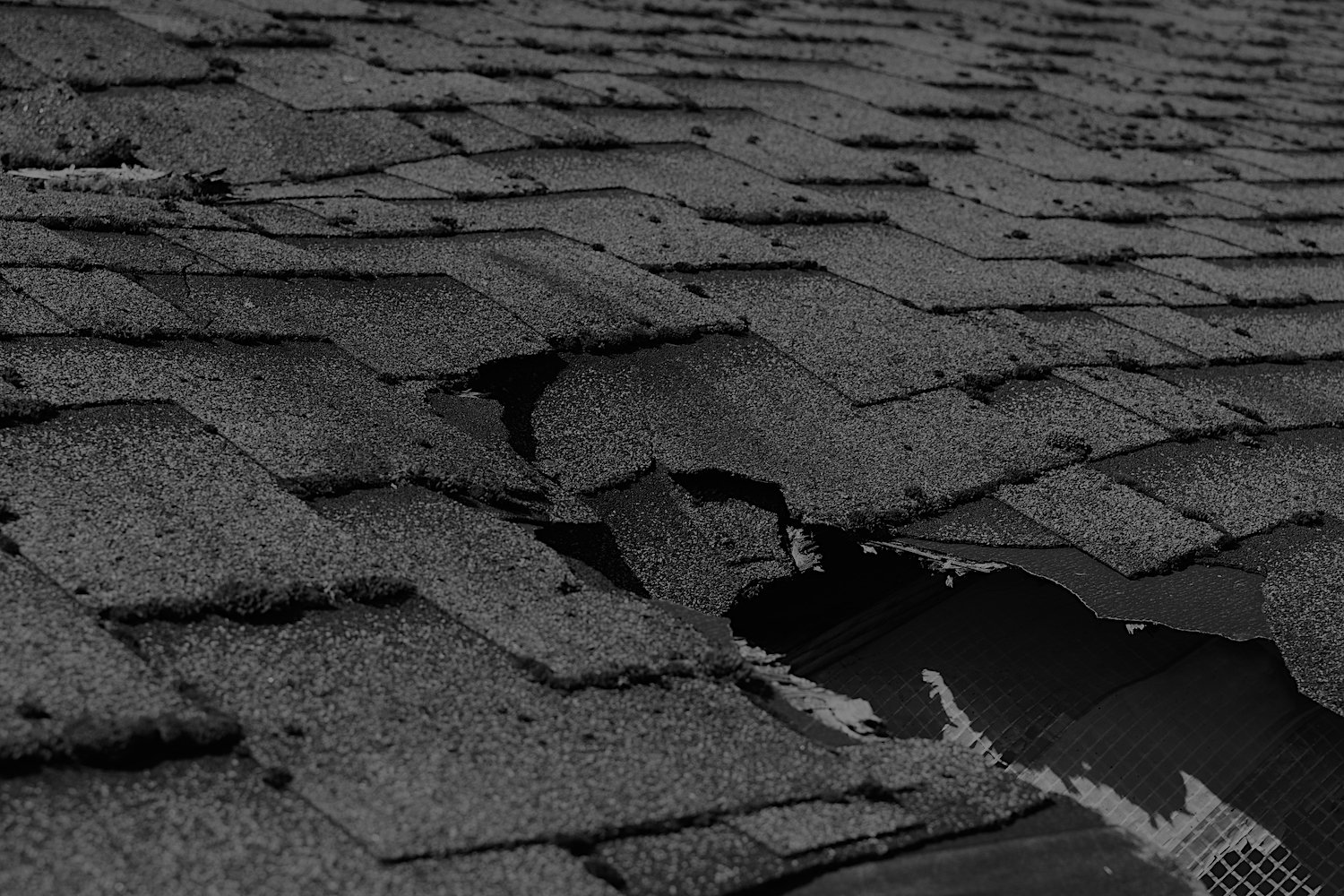 Roof Replacement Macro