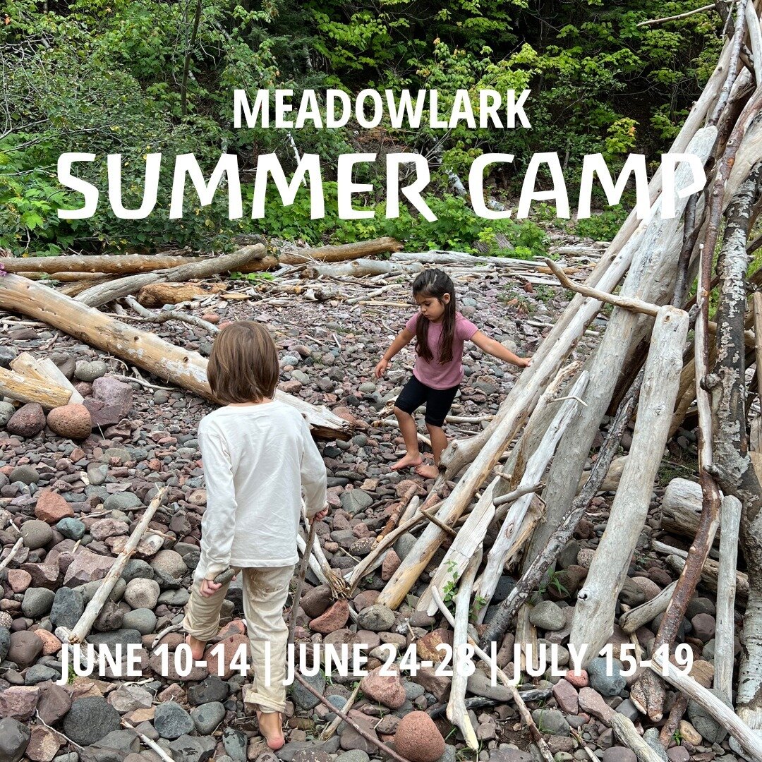 Join us for Meadowlark Summer Camp!

Meadowlark Summer Camp nurtures children&rsquo;s inherent connection to the natural world and each other through creative work and imaginative play. Each day is carried by a gentle rhythm - allowing for a balance 