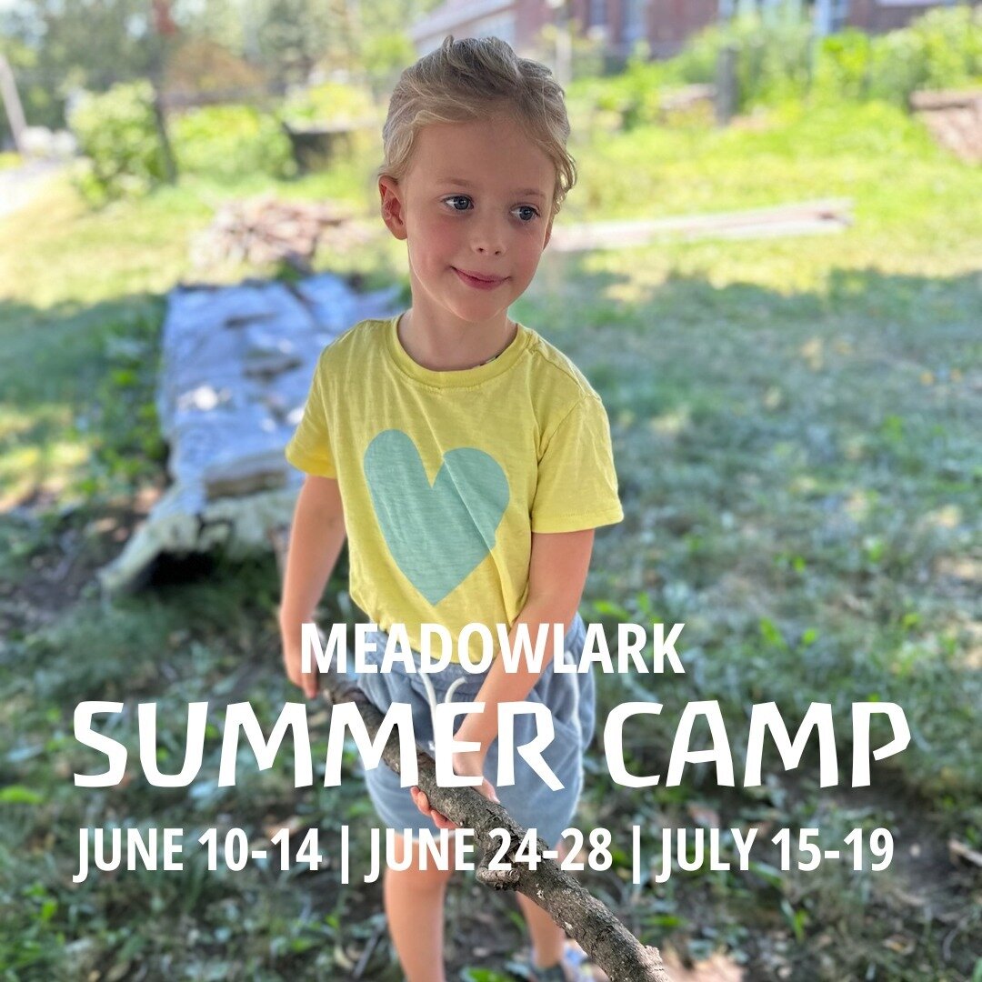 A reminder to join us for Meadowlark Summer Camp! There are still a few spots available ❤️

June 10-14: Gnomes and Fairies
June 24-28: Celebrating Summer
July 15-19: Birds, butterflies, bats, and bees

Registration is open for ages 6-1/2 through 11! 