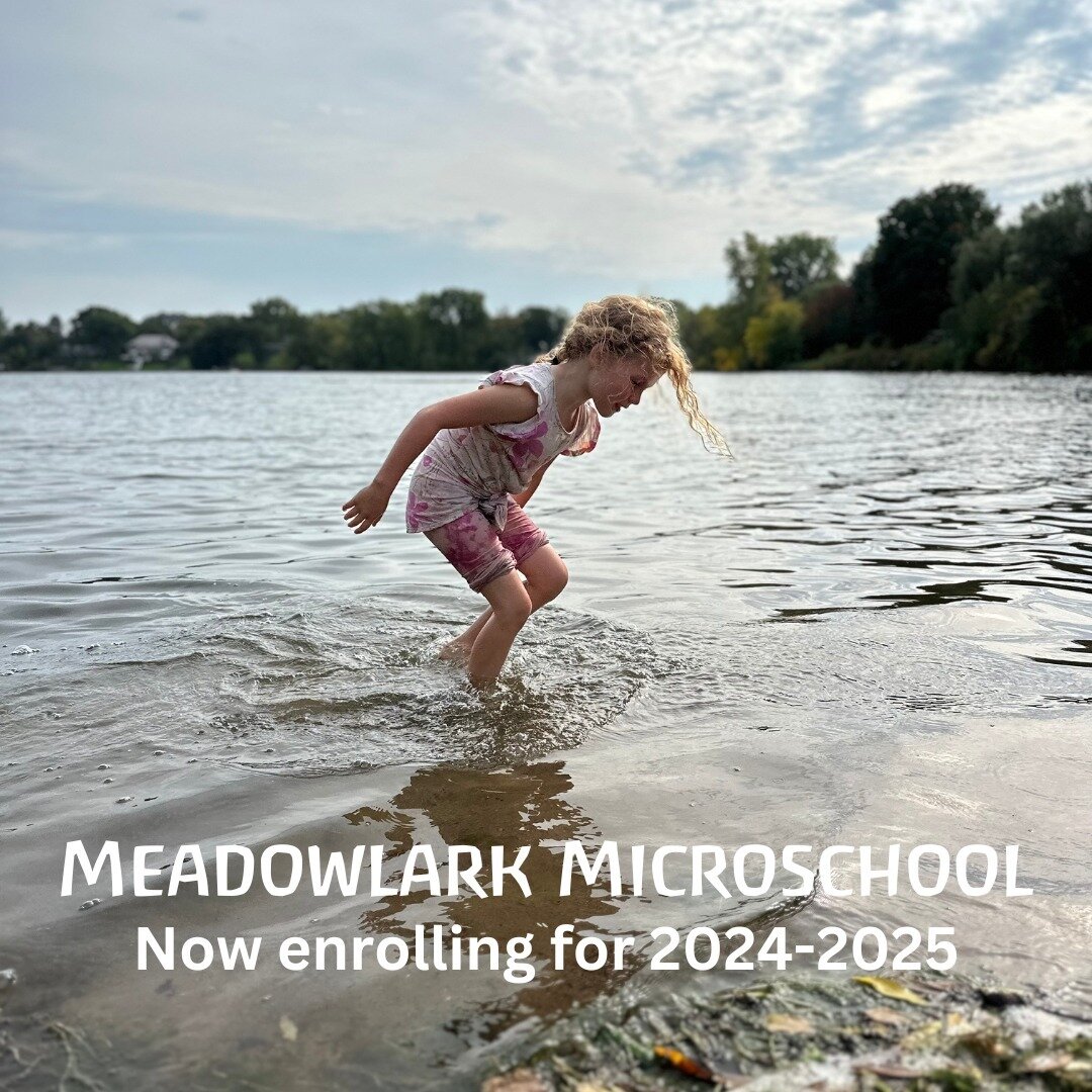 Come learn with us! Meadowlark is now enrolling for our 2024-2025 second grade class. Visit meadowlarkmicroschool.org to learn more. 

#meadowlarkmicroschool #waldorfinspired #naturebasedlearning #nowenrolling #waldorfeducation #microschool #northeas