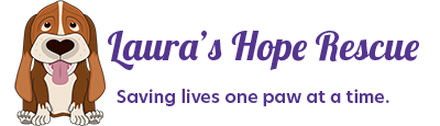 Laura&#39;s Hope Rescue