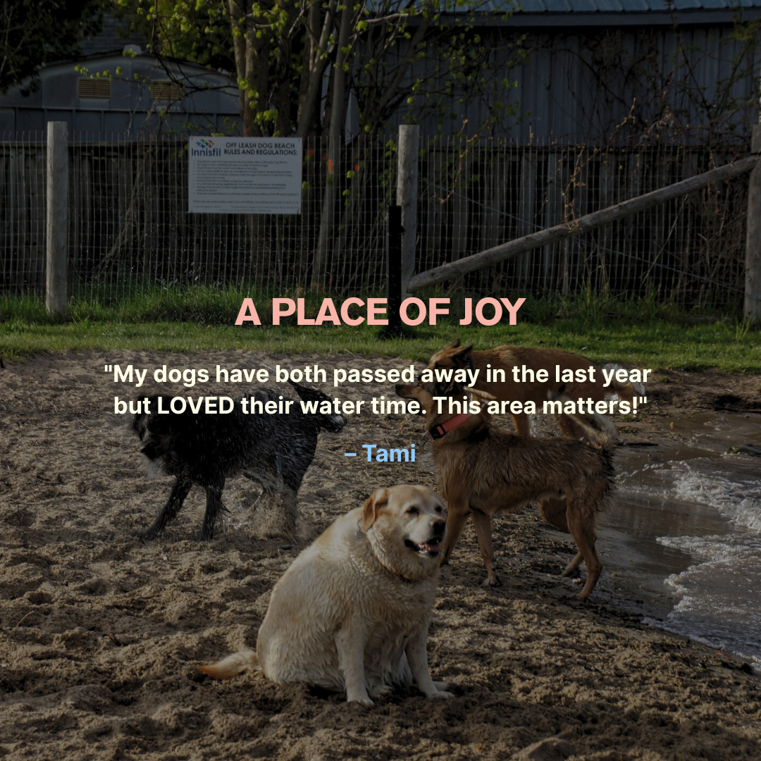 a-place-of-joy-dog-beach-memory-design-taya-madeline.png