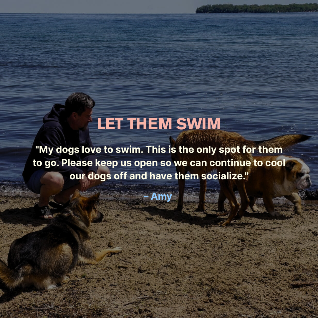 let-them-swim-dog-beach-testimonial-taya-madeline..png