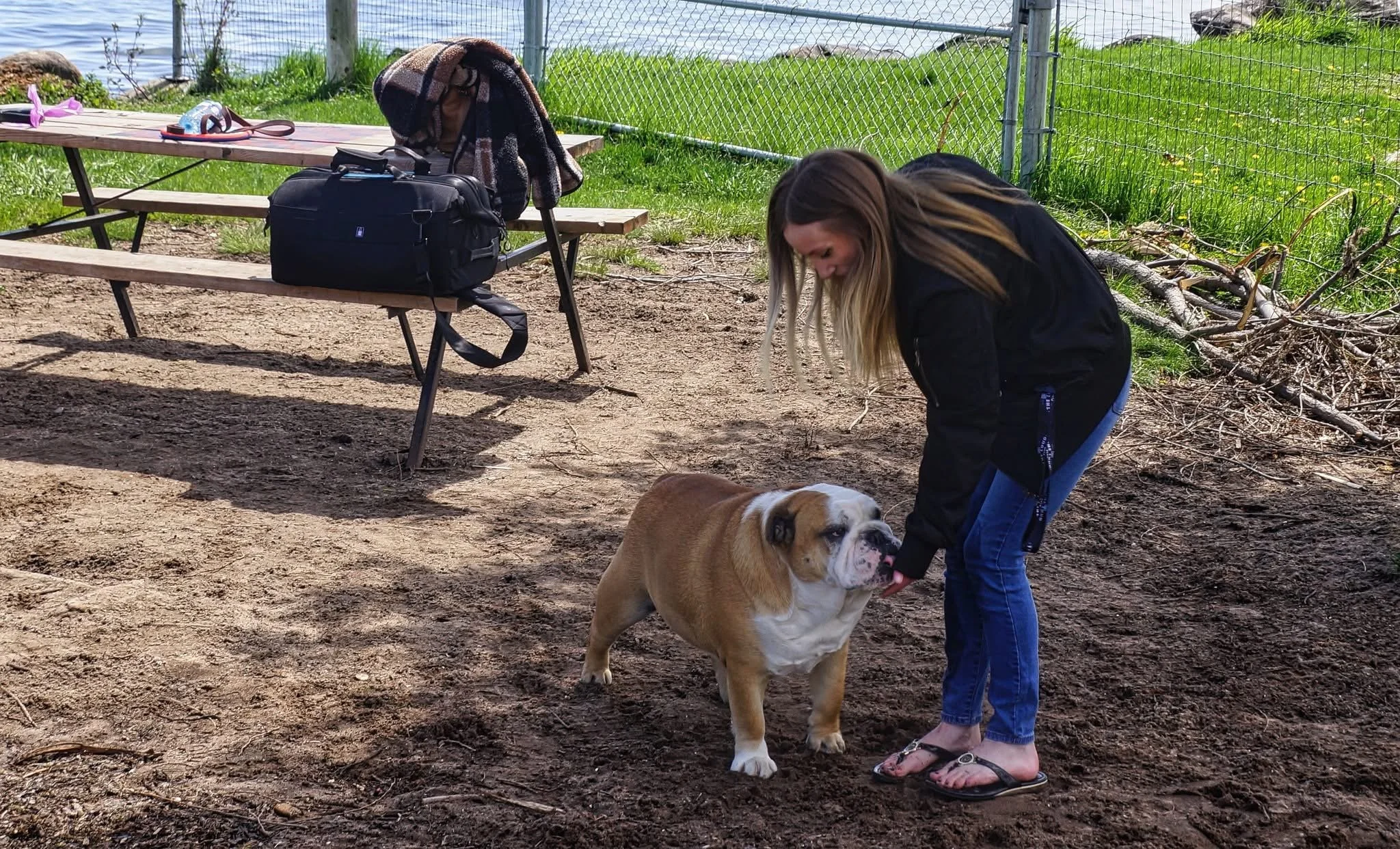 taya-with-wilbur-bulldog-save-innisfil-dog-beach.JPG