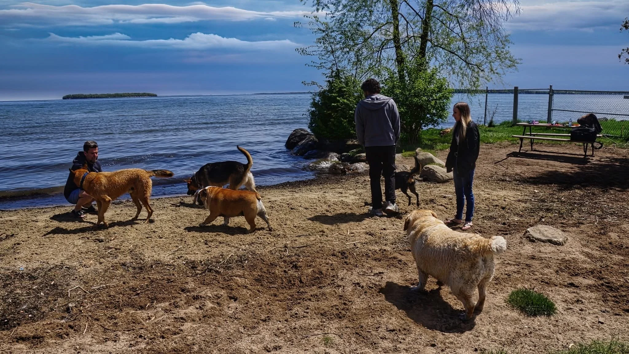 community-gathering-innisfil-dog-beach-lakefront.JPG