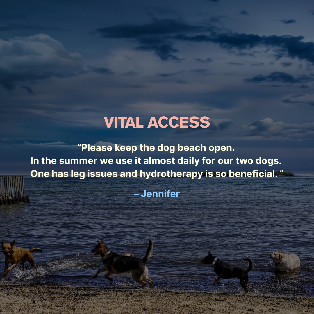 vital-access-save-dog-beach-innisfil-quote-design-taya-madeline.png
