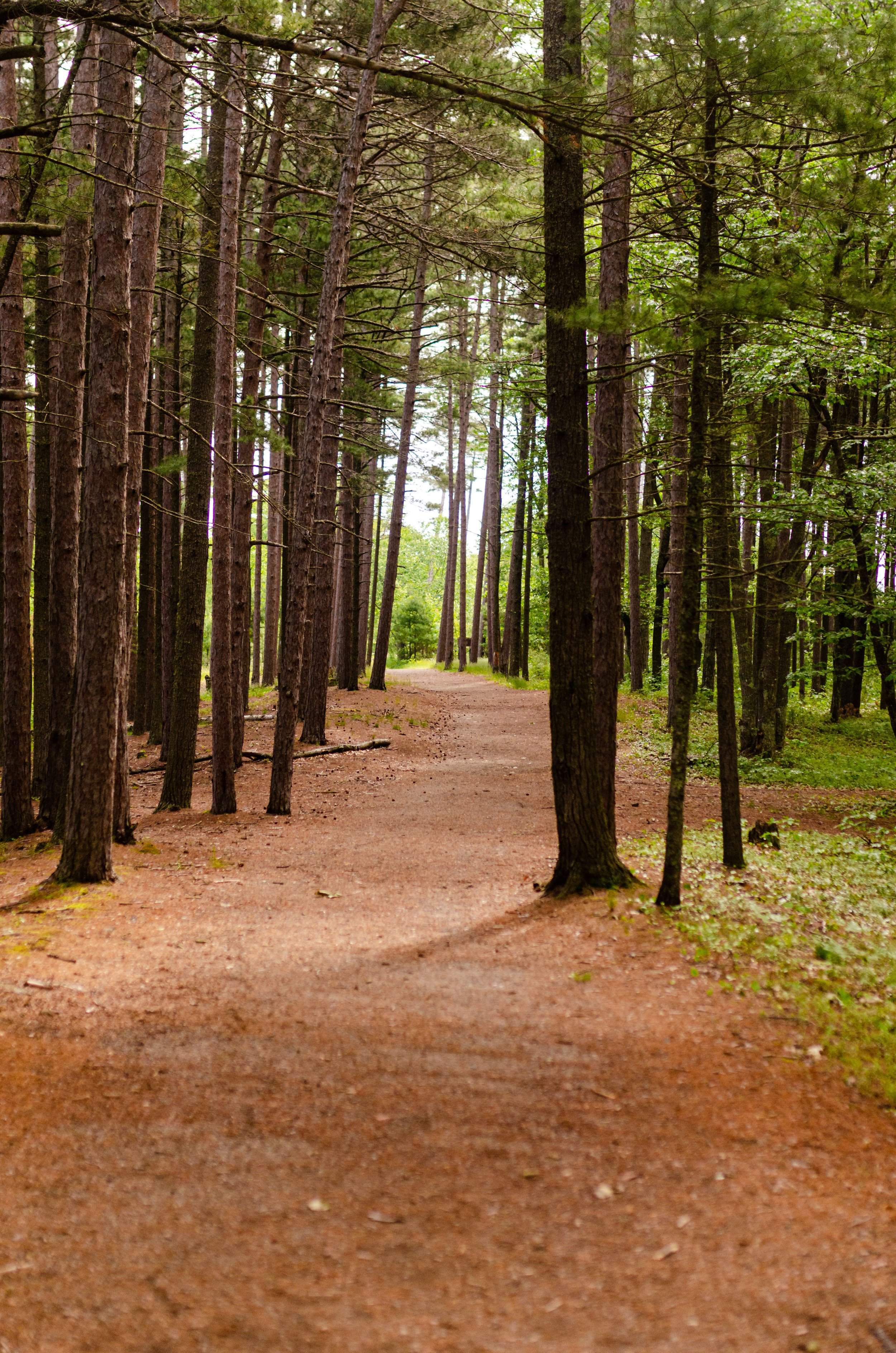 The Residences at North Harbor near Presque Isle Park Hiking Trails in Marquette Michigan