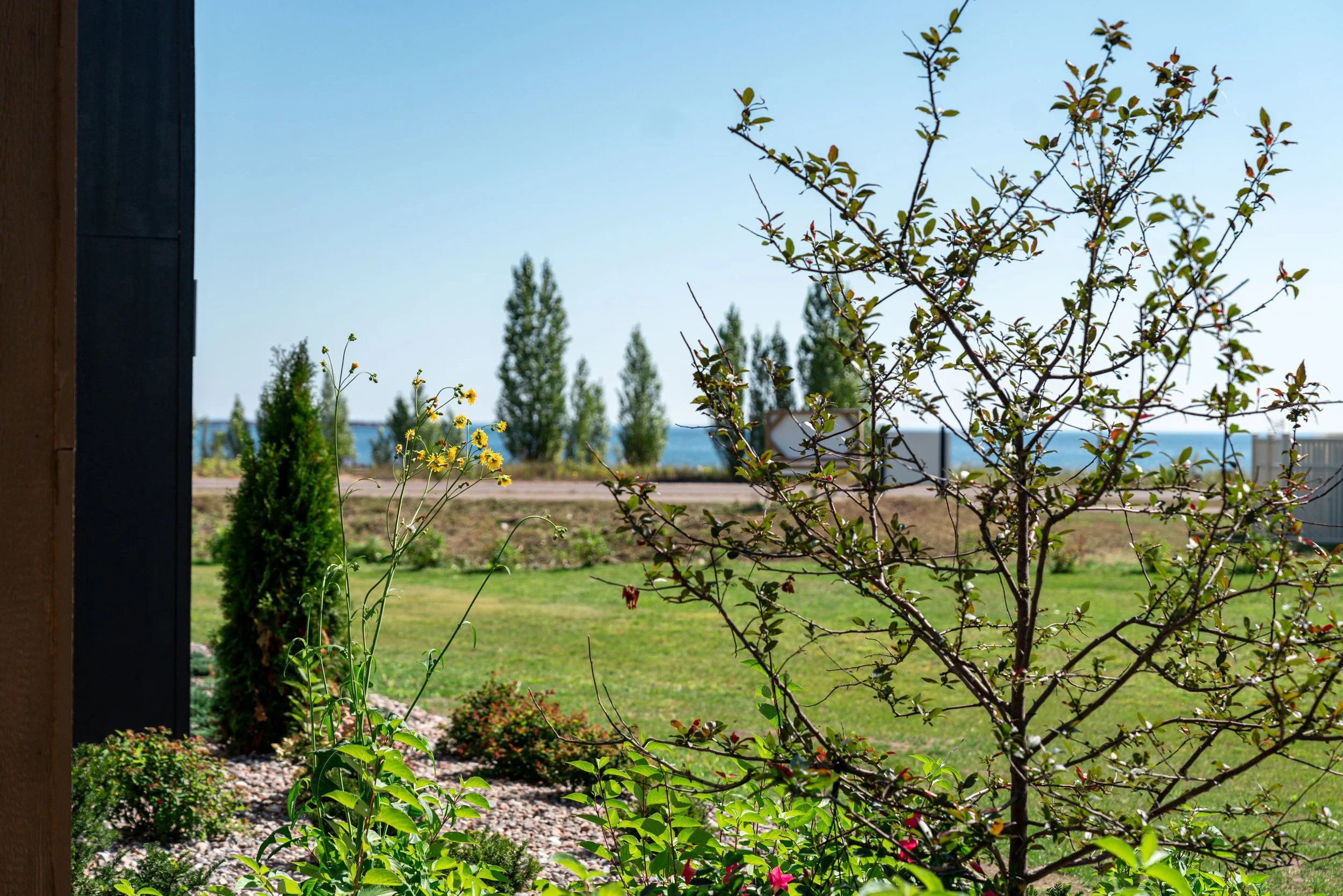 A garden view through a partial frame of a building wall on the left, showing green grass, flowering plants, and trees under a clear blue sky. The Residences at North Harbor on Lake Superior in Marquette Michigan.