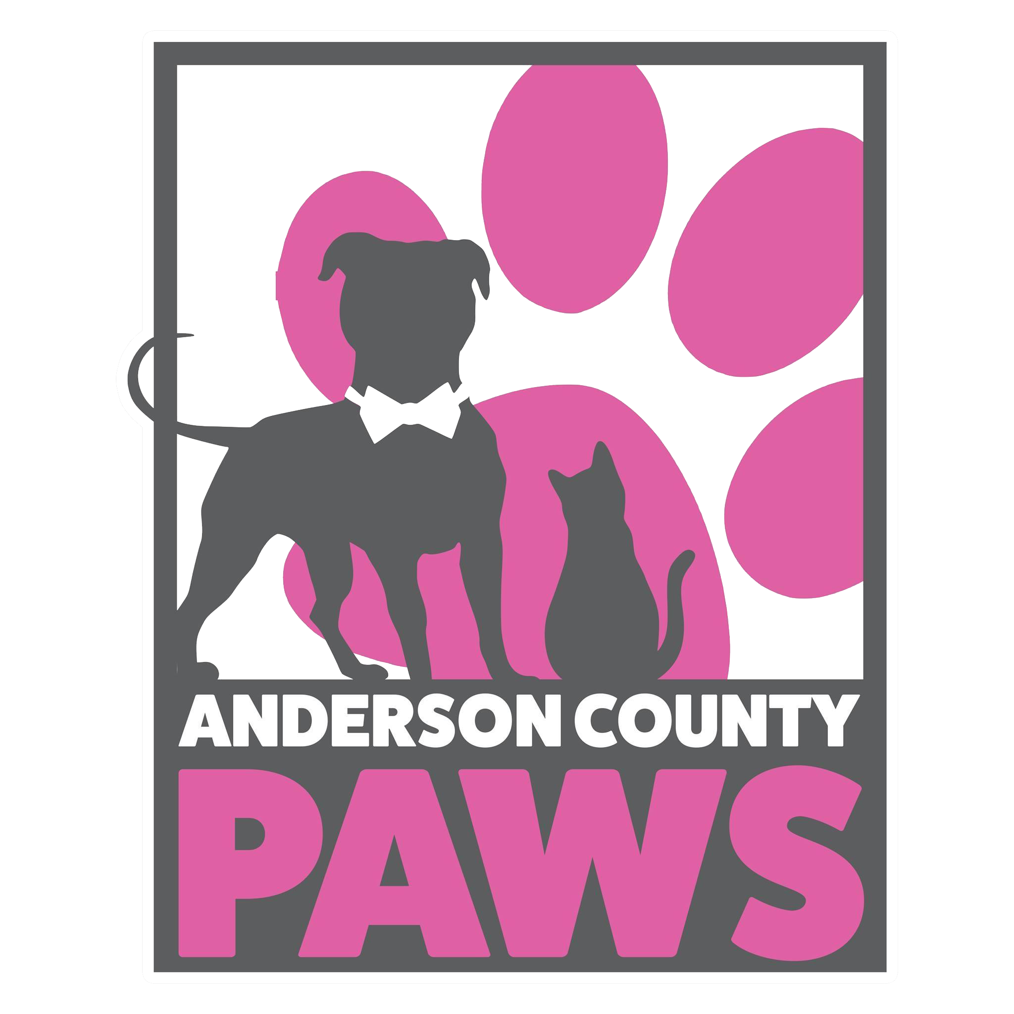 Animal Shelter Full; Community Asked to Help
