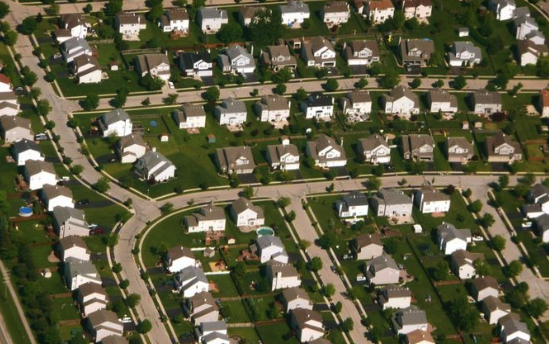 County Planning and Public Works Looks at Tree Ordinance, Comprehensive Plan