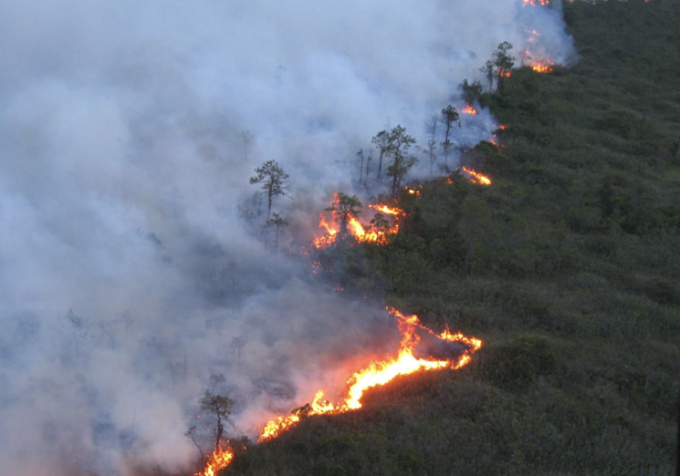 N.C. Wildfires Cause Smoky Conditions in Anderson