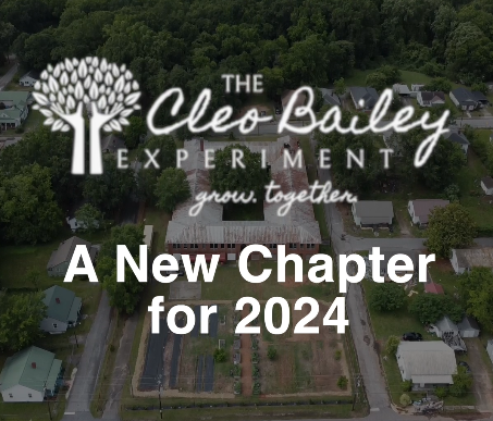 Four Years after Start, Cleo Bailey Experiment Blooming