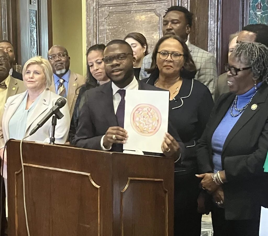 Bi-Partisan Effort Aims to Keep IVF Legal in S.C.