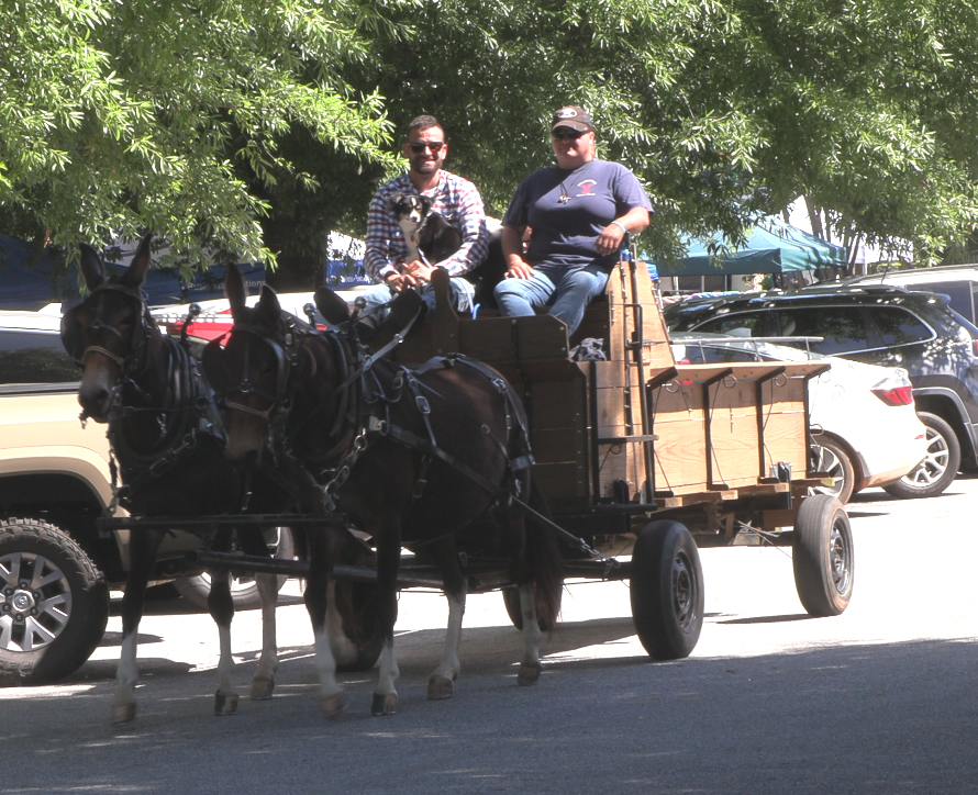 Perfect Weather Greets Iva Spring Festival, Car Show