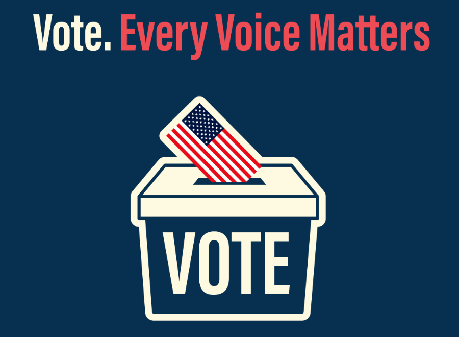 Election of Legislative Delegation Has Broad Impact on County