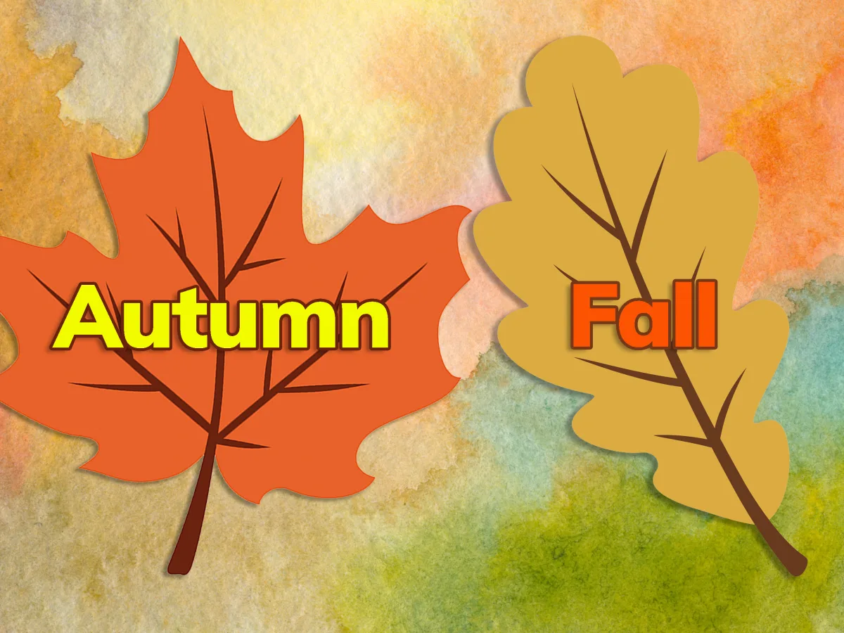 Autumn Arrives Today