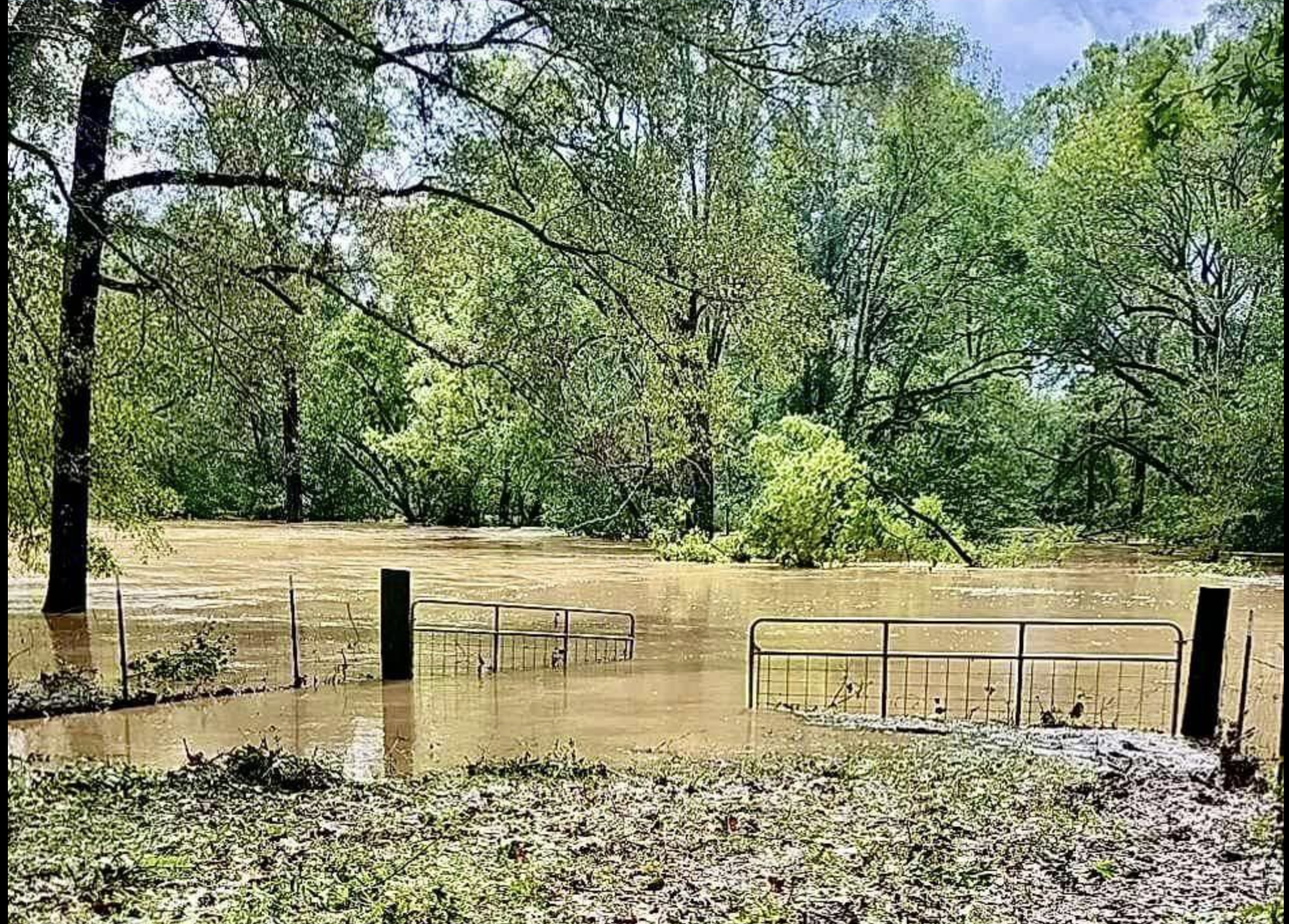 Random Notes from Storm Cleanup in Anderson County