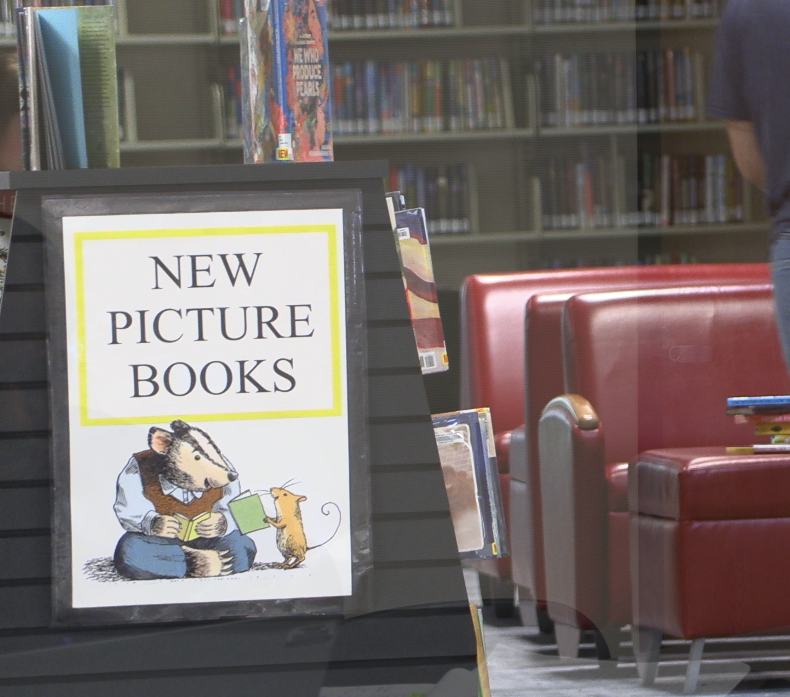 Library Steps Up as Community Hub After Storm