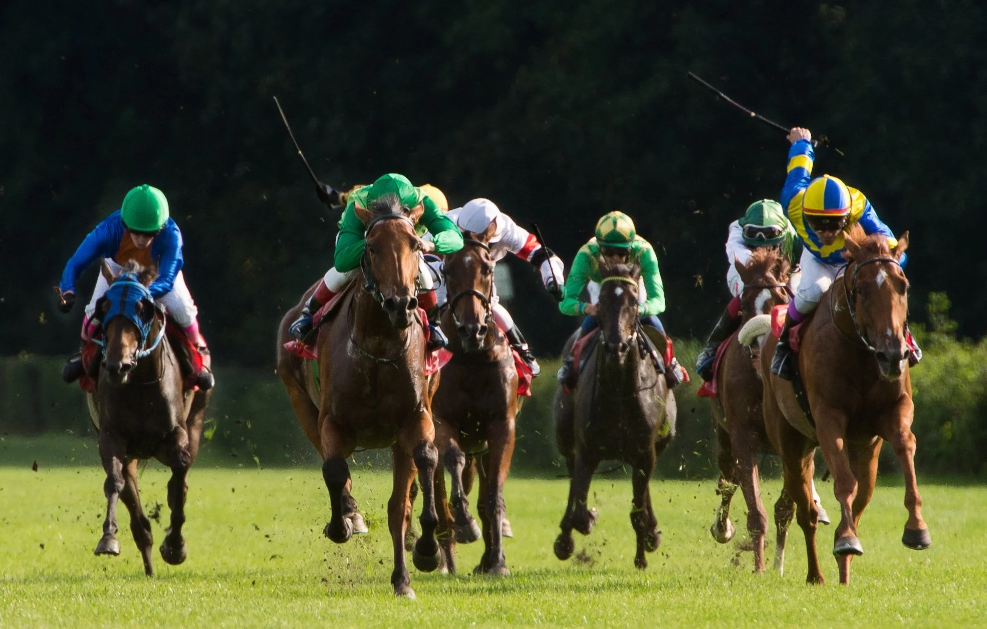 S.C. Senate to Consider Legalized Gambling on Horse Races