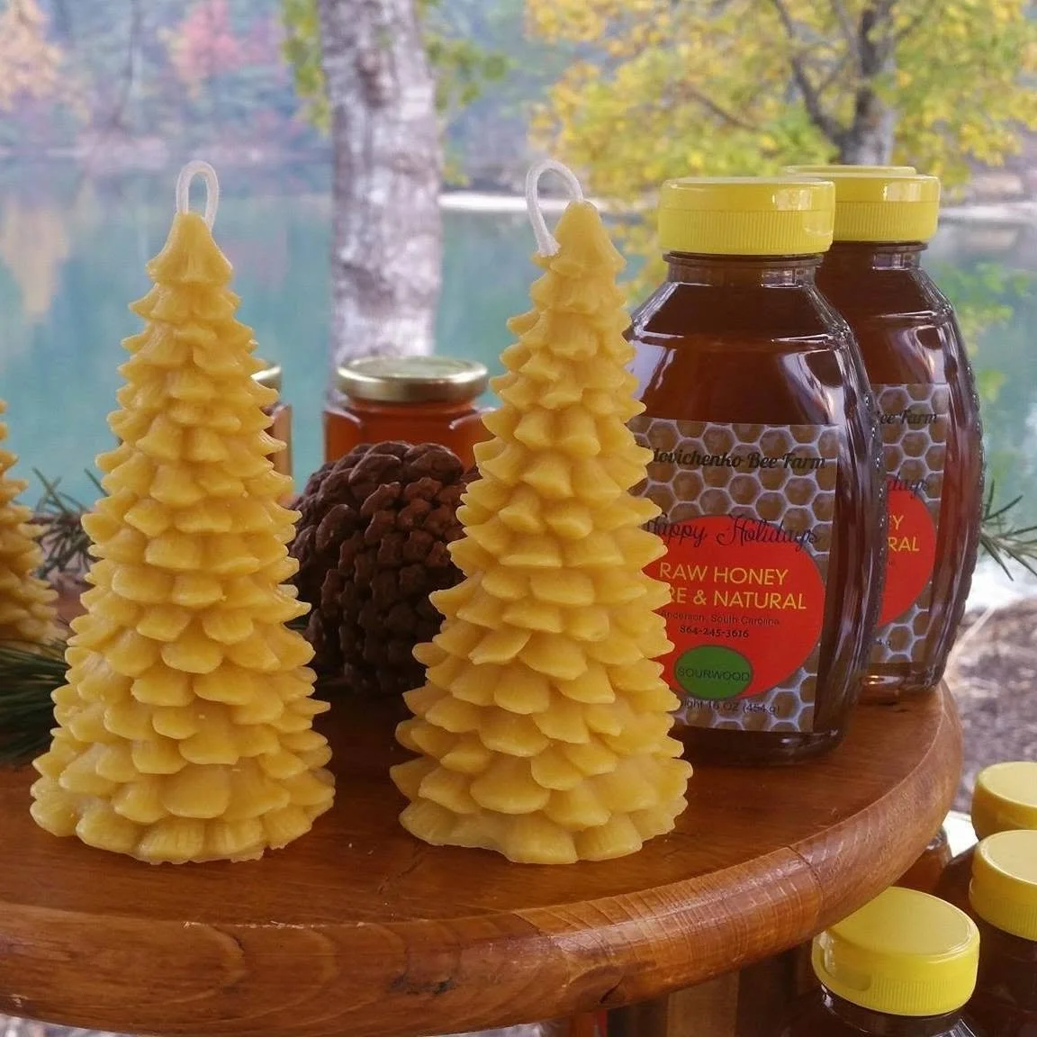 Local Bee Farm a Sweet Story of Success