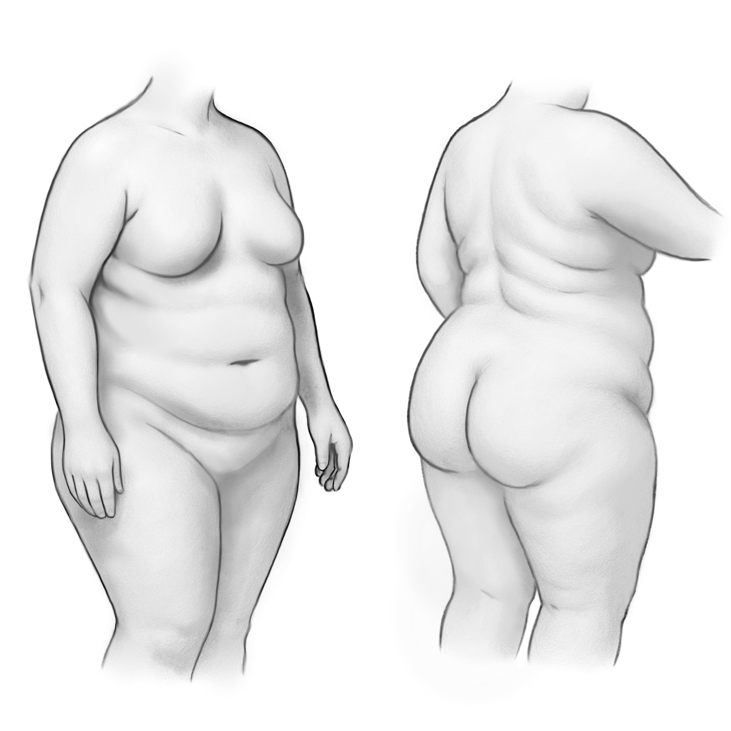 medical illustration Gender Confirmation Center