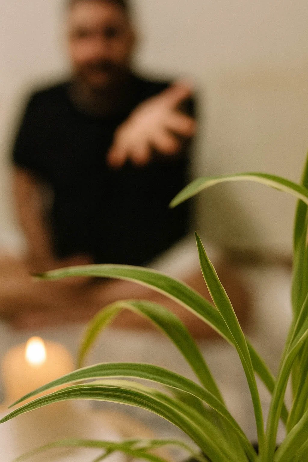 Primer plano de una planta verde con una vela desenfocada y, al fondo, un hombre sentado en postura de meditación durante un ritual de liberación energética.