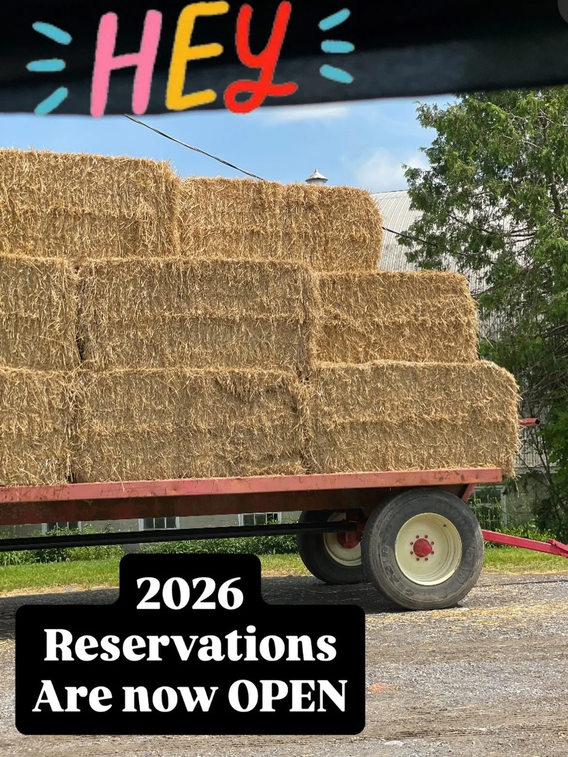 Reservations are now OPEN! 
Booking for all your fish n chips and Seafood Towers! 

Mother&rsquo;s Day to Thanksgiving! 
Link in bio to make your reservations! 

Sea you soon 

#princeedwardcounty #restaurant #ontario #mothersday